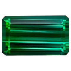 Pierre de tourmaline verte naturelle de 15,42 carats, pierre de naissance d'octobre