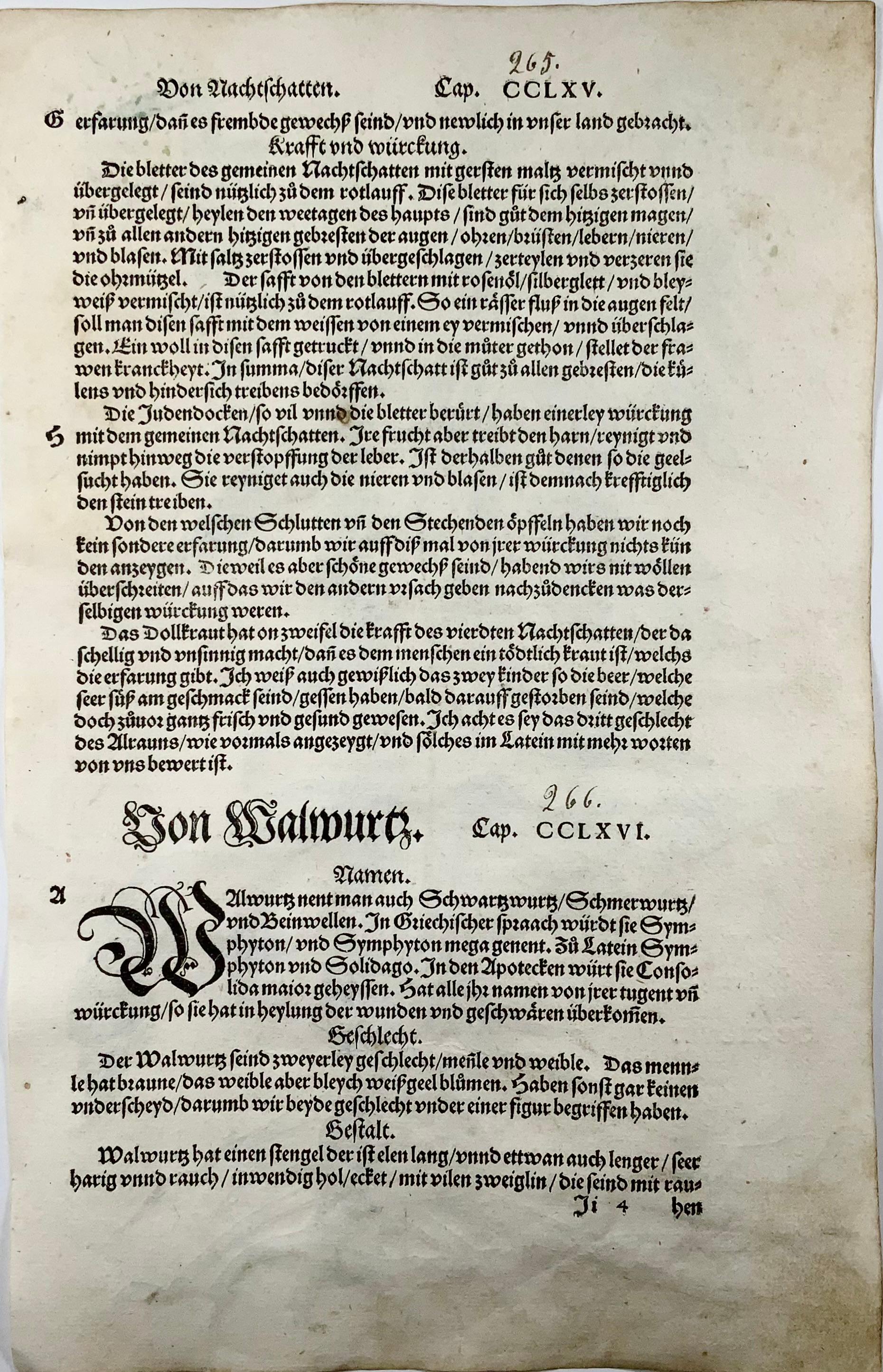1543 Knochenset, Comfrey, Leonhart Fuchs, Folio-Holzschnitt, 34 x 22 cm, erste Version im Zustand „Gut“ im Angebot in Norwich, GB