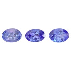 1.55 Carat Natural 3 Piece Precious Blue Tanzanite Oval Cut Tanzanian Gemstone