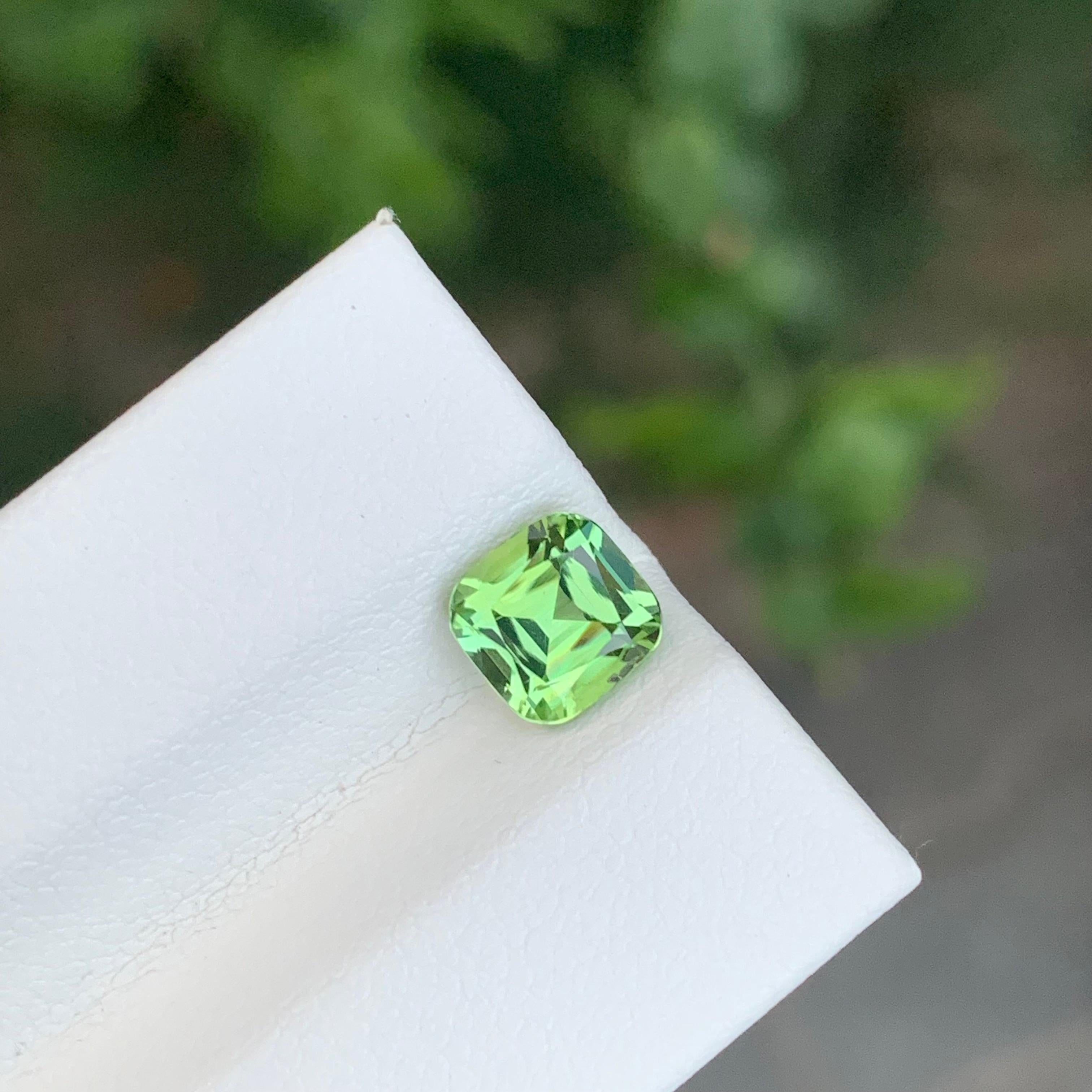 Tormalina verde blu sfaccettata

Peso: 1,55 Carati
Dimensioni: 6,4 x 6,2 x 4,8 mm
Colore: Blu & Greene
Trattamento: Non
Certificato: Su richiesta del cliente
Forma: Cuscino


La tormalina è una gemma affascinante nota per la sua notevole varietà di
