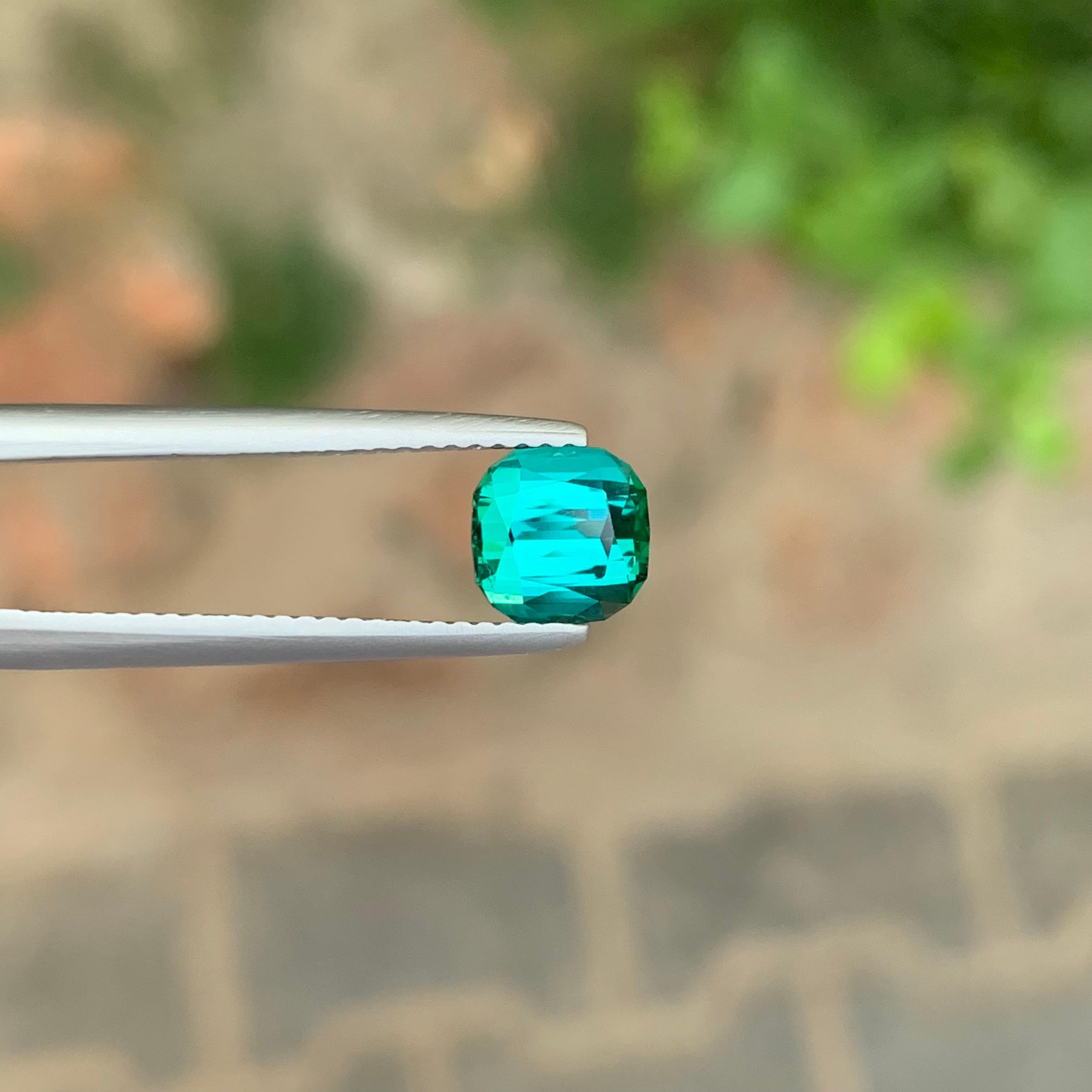 Tormalina verde blu sfaccettata

Peso: 1,55 Carati
Dimensioni: 6,5 x 6,5 x 4,8 mm
Colore: Blu & Greene
Trattamento: Non
Certificato: Su richiesta del cliente
Forma: Cuscino 


La tormalina è una gemma affascinante nota per la sua notevole varietà di