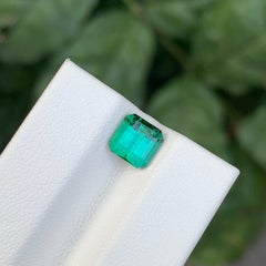 1.55 Carat Natural Loose Blue Green Tourmaline Emerald Shape Gem