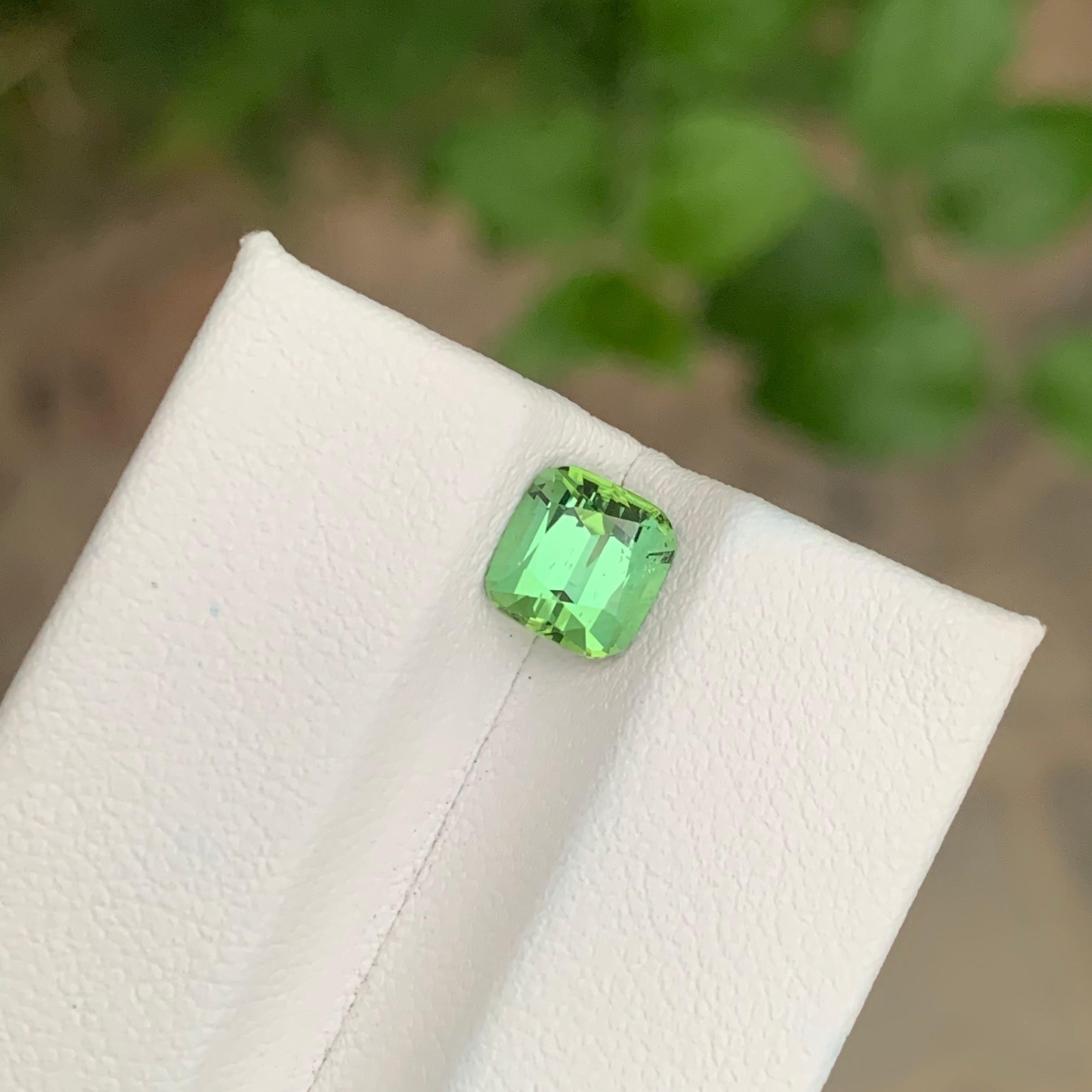 Facettierter hellgrüner Turmalin

Gewicht: 1,55 Karat
Abmessung: 6.6 x 6.3 x 5.0 Mm
Herkunft: Afghanistan
Behandlung: Nicht
Zertifikat: Auf Kundenwunsch


Der Turmalin ist ein faszinierender Edelstein, der für seine bemerkenswerte Farbvielfalt