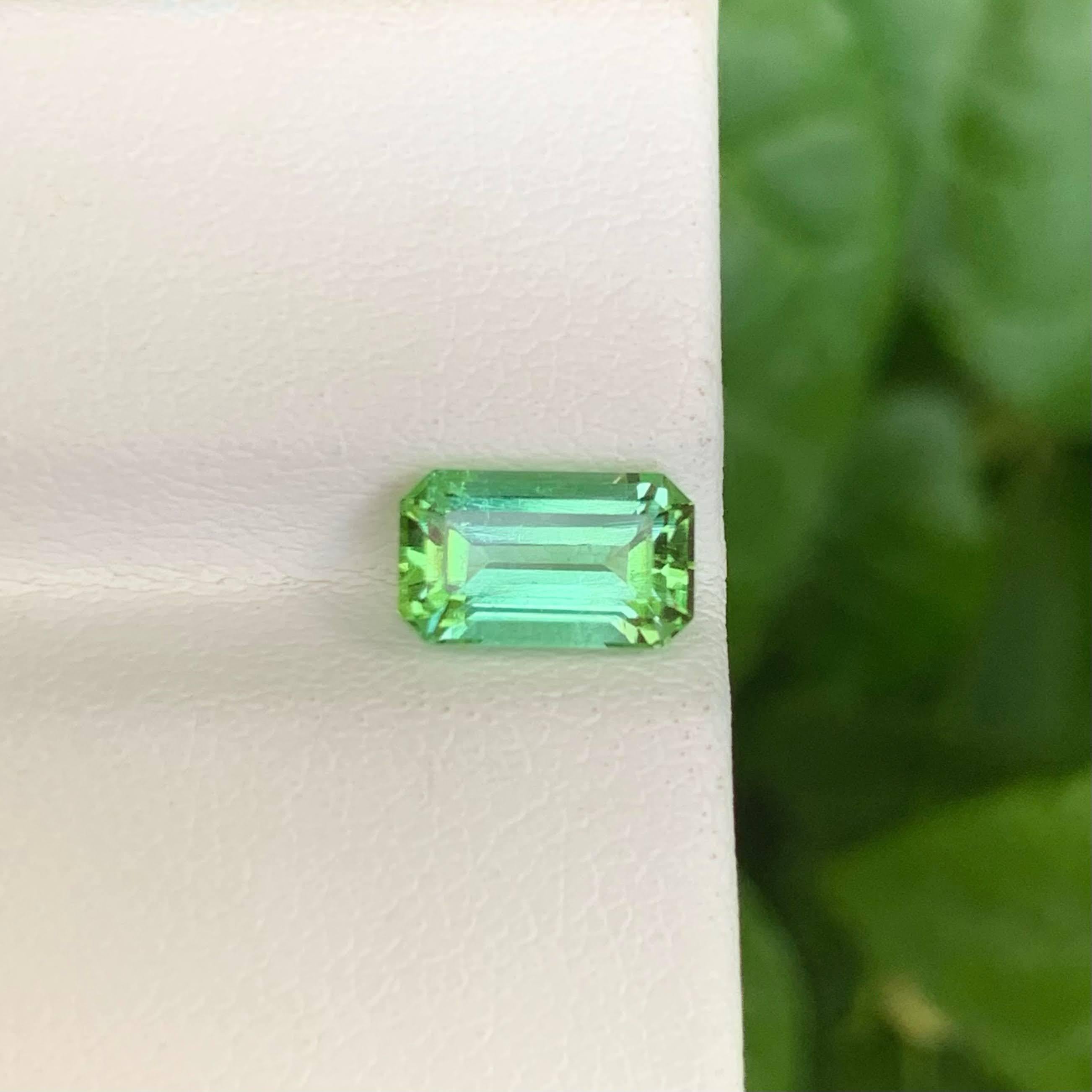 Peso 1,55 carati
Dimensioni 8,6x5,1x4,1 mm
Trattamento Nessuno
Origine afgana 
Chiarezza VVS 
Forma Taglio Smeraldo 
NA



Questa bellissima tormalina naturale Greene & Greene da 1,55 carati presenta una fresca e luminosa tonalità verde menta,