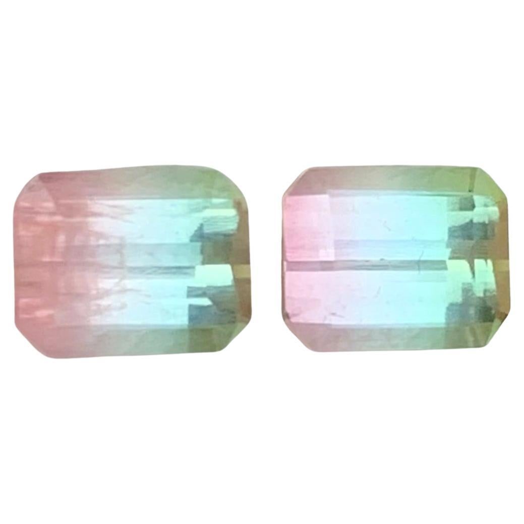 1.55 Carat Natural Loose Parti Tourmaline Pair Gemstone For Earrings
