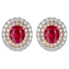 1.55 Carat Ruby Diamond Double Halo Stud Earring in 18 Karat White and Rose Gold