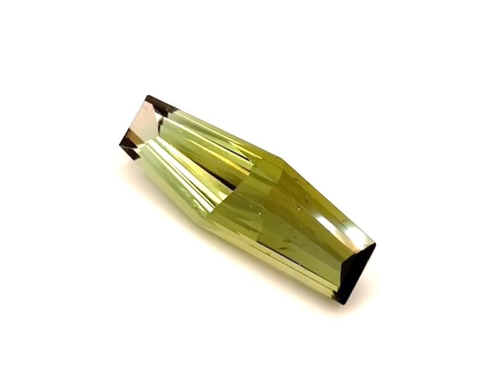 Taille mixte Pierre précieuse de tourmaline bicolore, hexagone allongé fantaisie de 15,50 carats en vente