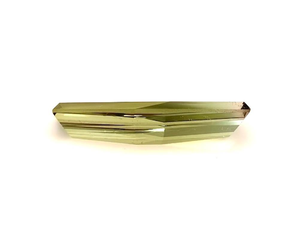 Pierre précieuse de tourmaline bicolore, hexagone allongé fantaisie de 15,50 carats Neuf - En vente à Los Angeles, CA