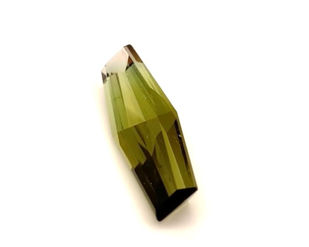 Tourmaline bicolore fantaisie tourmaline hexagonale allongée 15,50 carats non sertie, pierre précieuse pour pendentif en vente 1