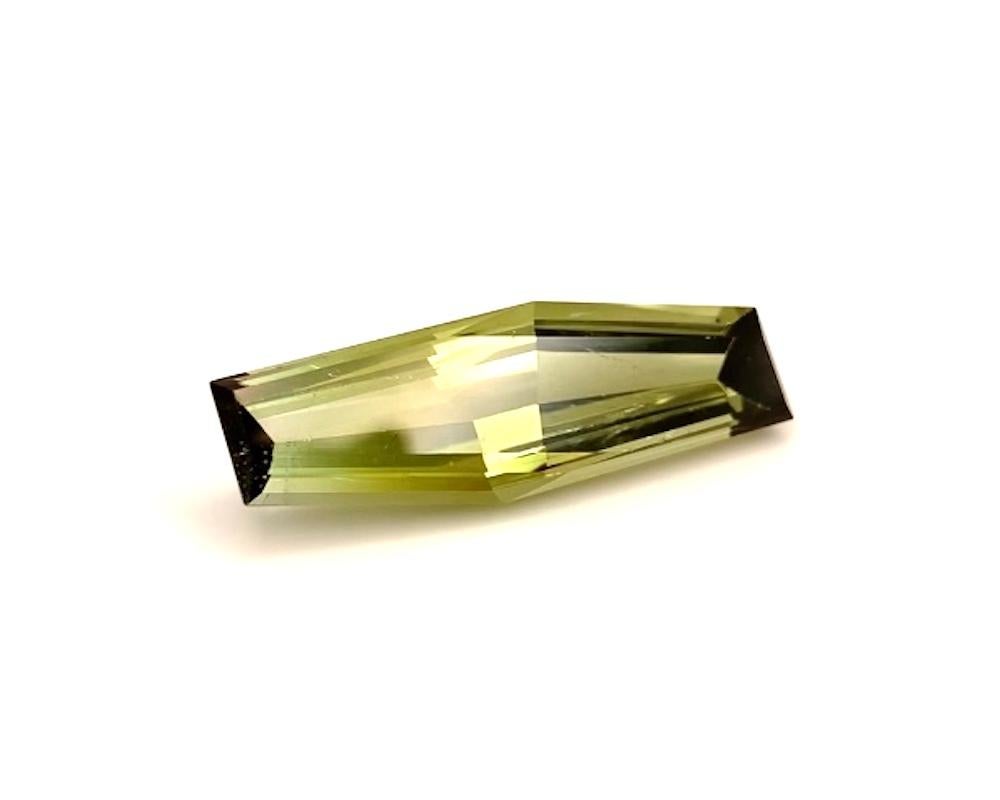 15.50 Carat Bi-Color Tourmaline Fancy Elongated Hexagon, Loose Gemstone In New Condition For Sale In Los Angeles, CA