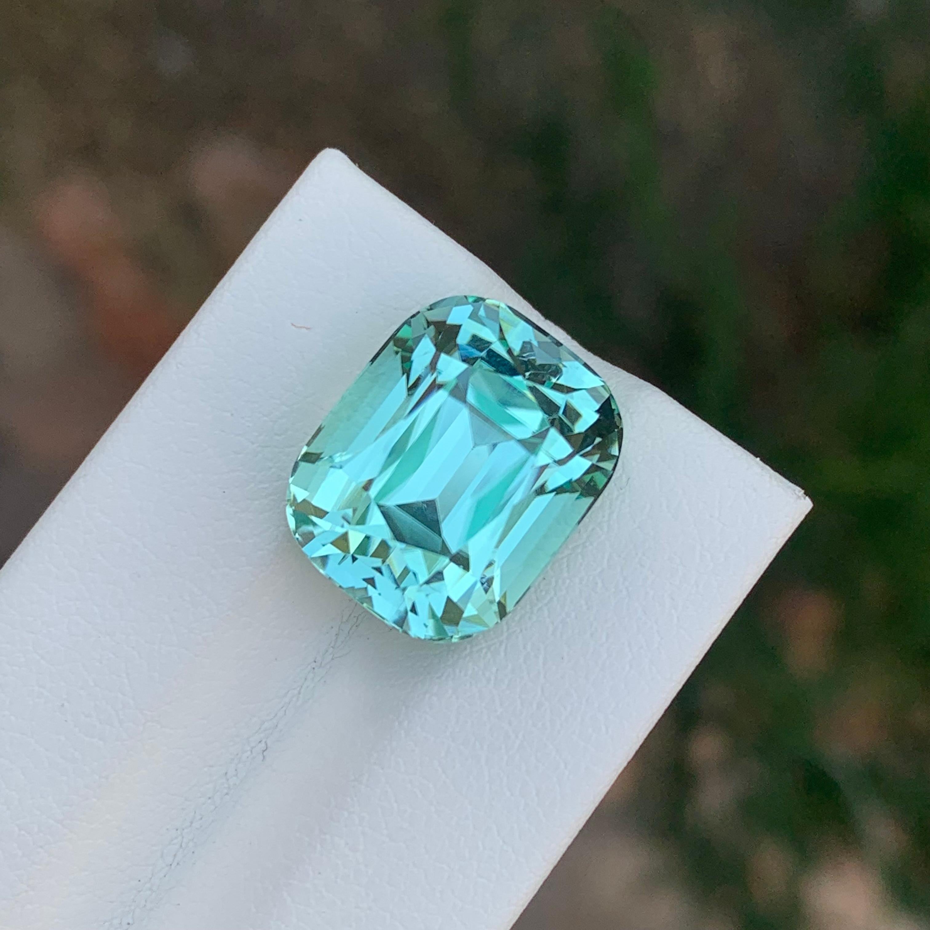 15.50 Carat Natural Loose Seafoam Tourmaline Cushion Shape Gemstone (pierre précieuse en forme de coussin) en vente 7