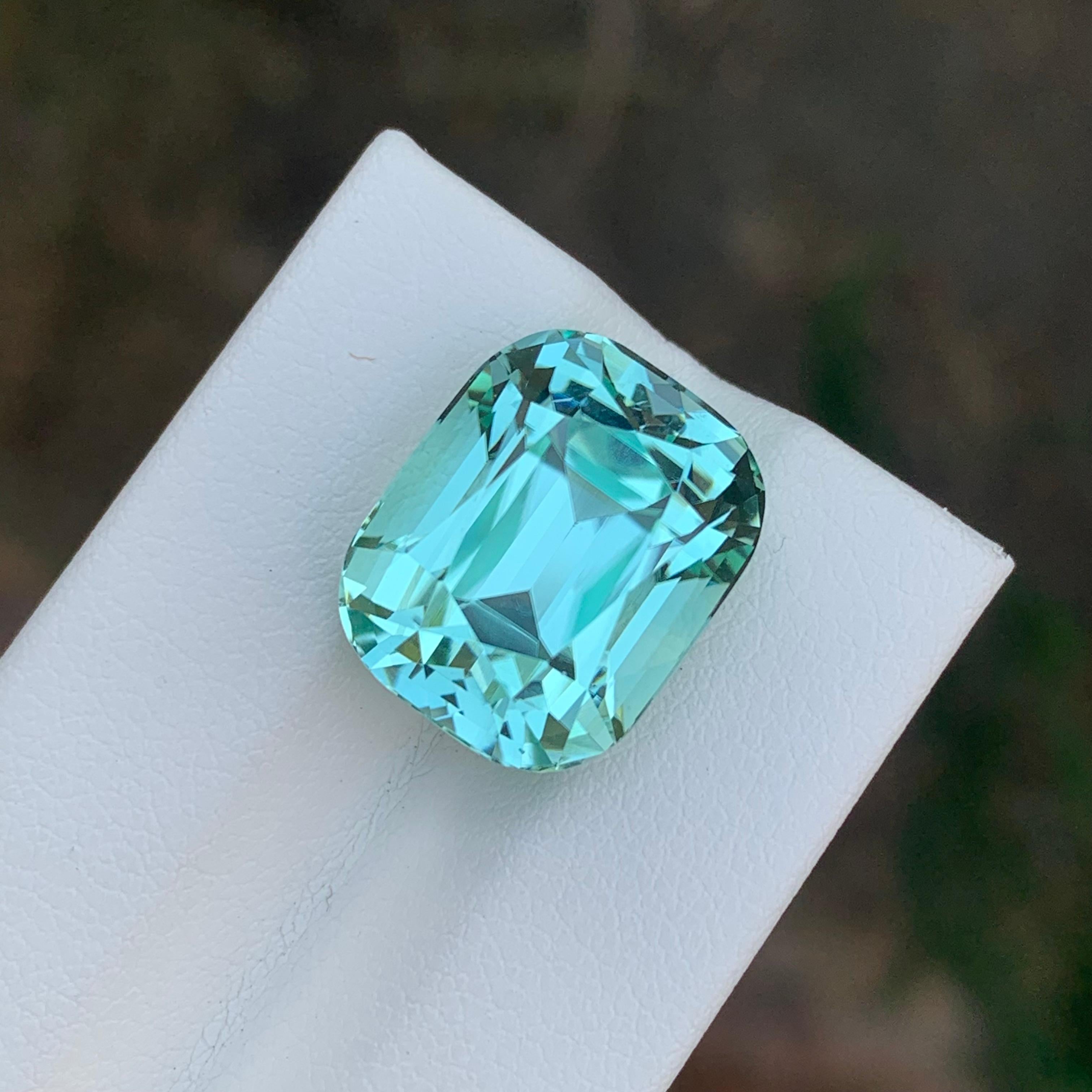 15.50 Carat Natural Loose Seafoam Tourmaline Cushion Shape Gemstone (pierre précieuse en forme de coussin) en vente 8