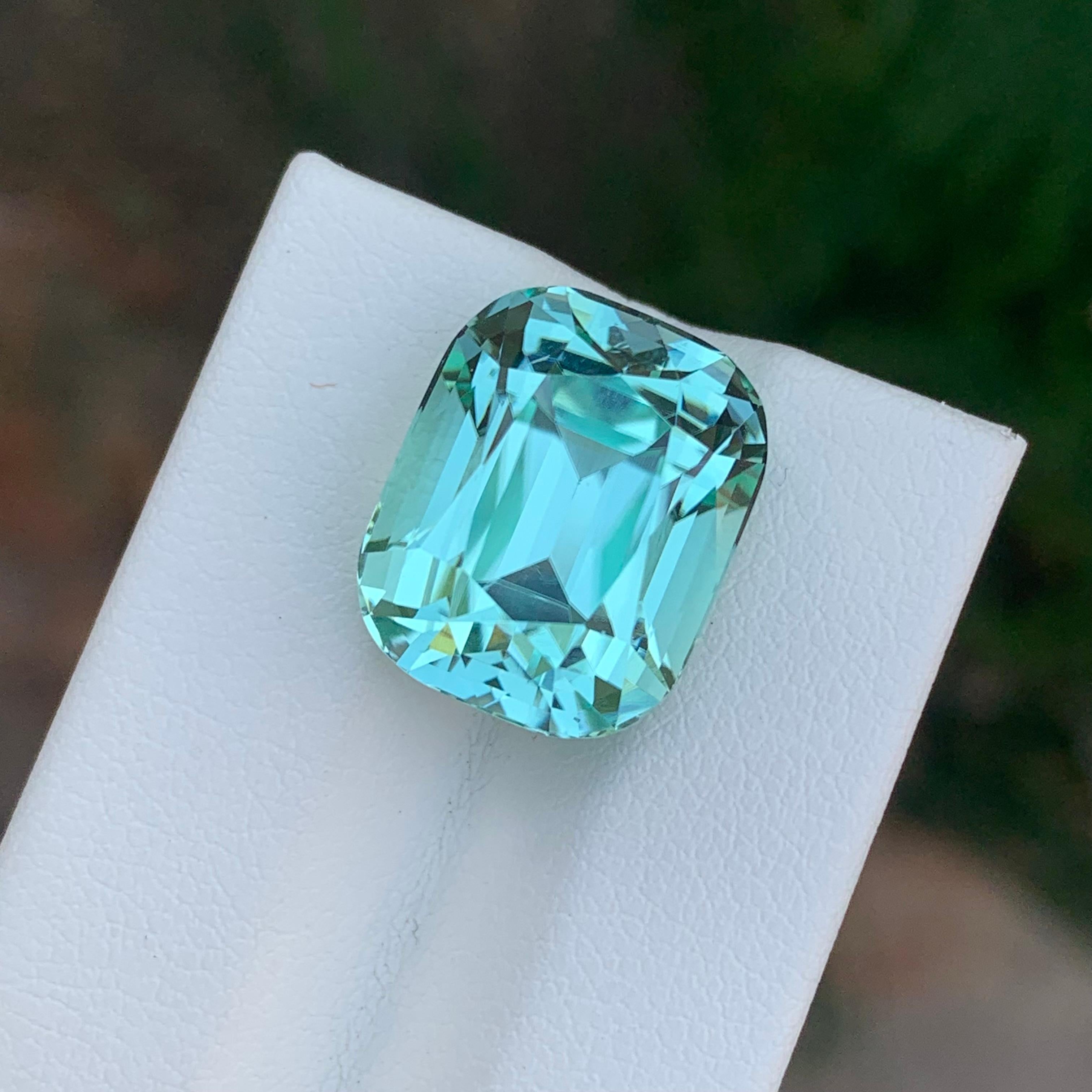 15.50 Carat Natural Loose Seafoam Tourmaline Cushion Shape Gemstone (pierre précieuse en forme de coussin) en vente 9