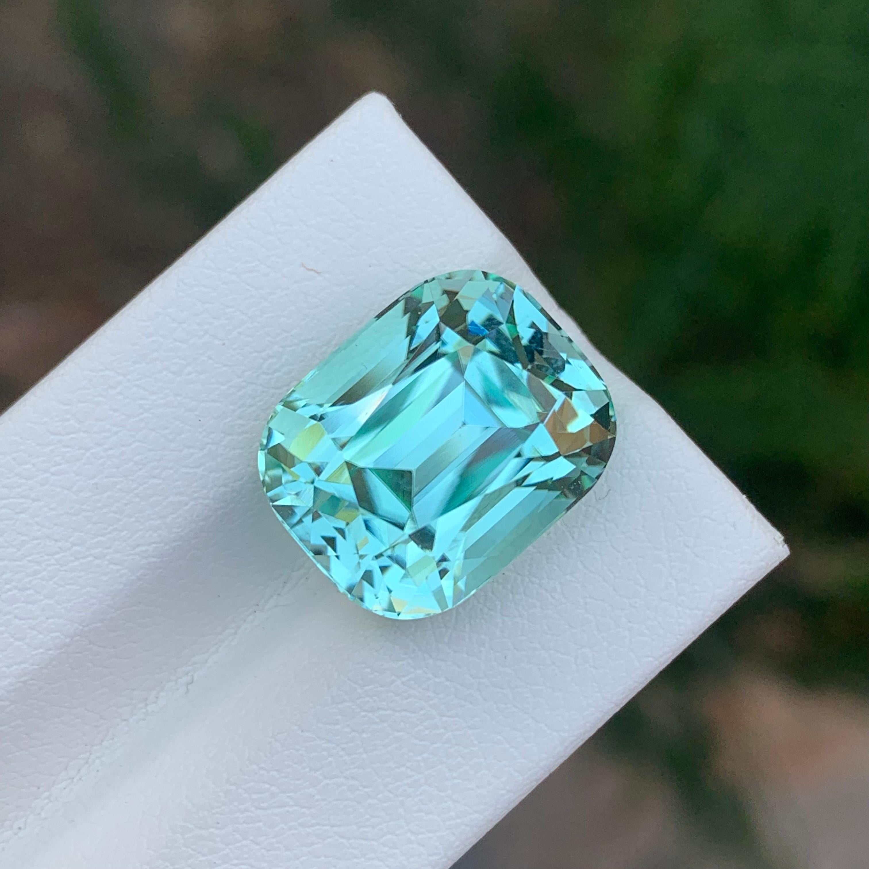 15.50 Carat Natural Loose Seafoam Tourmaline Cushion Shape Gemstone (pierre précieuse en forme de coussin) en vente 10