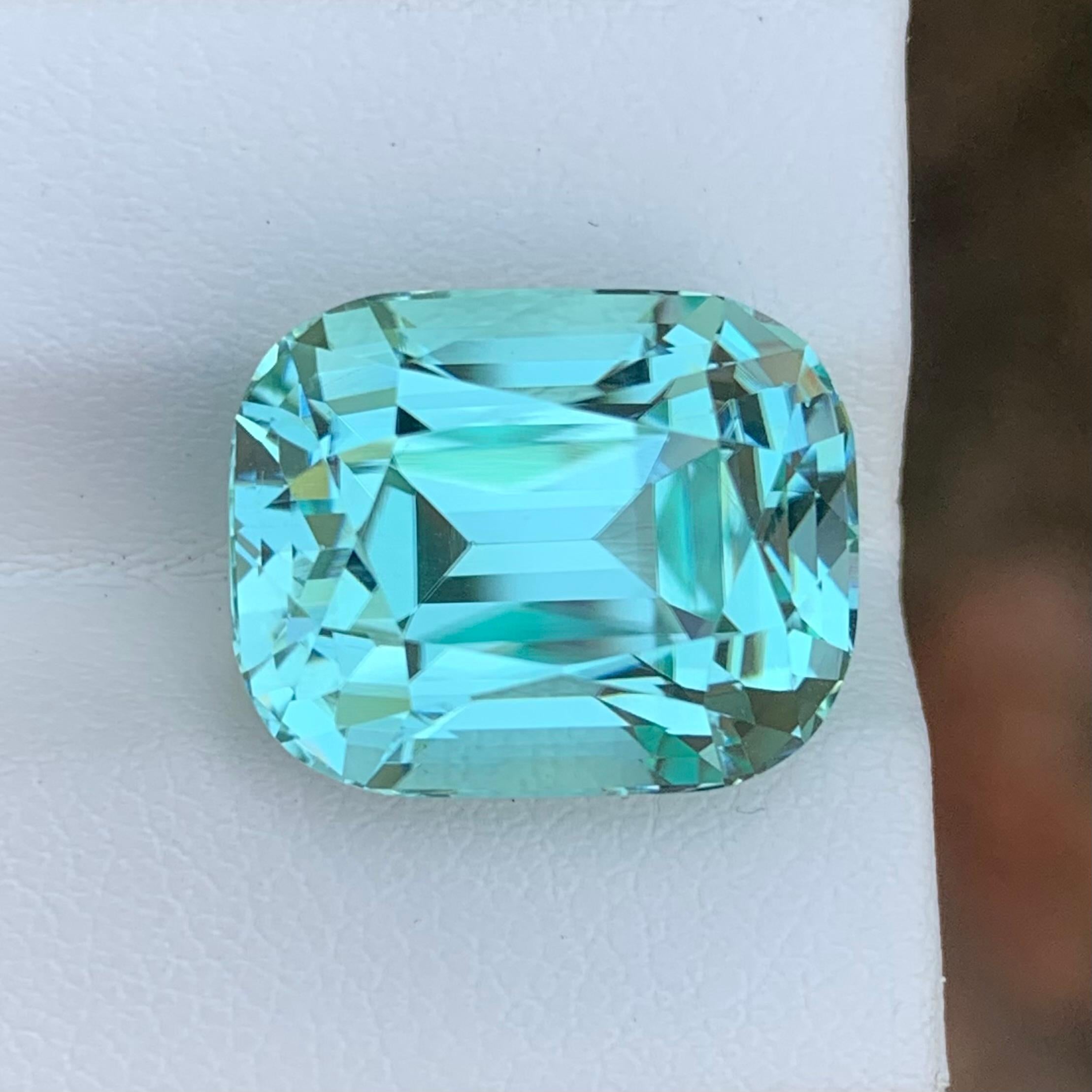 15.50 Carat Natural Loose Seafoam Tourmaline Cushion Shape Gemstone (pierre précieuse en forme de coussin) Unisexe en vente
