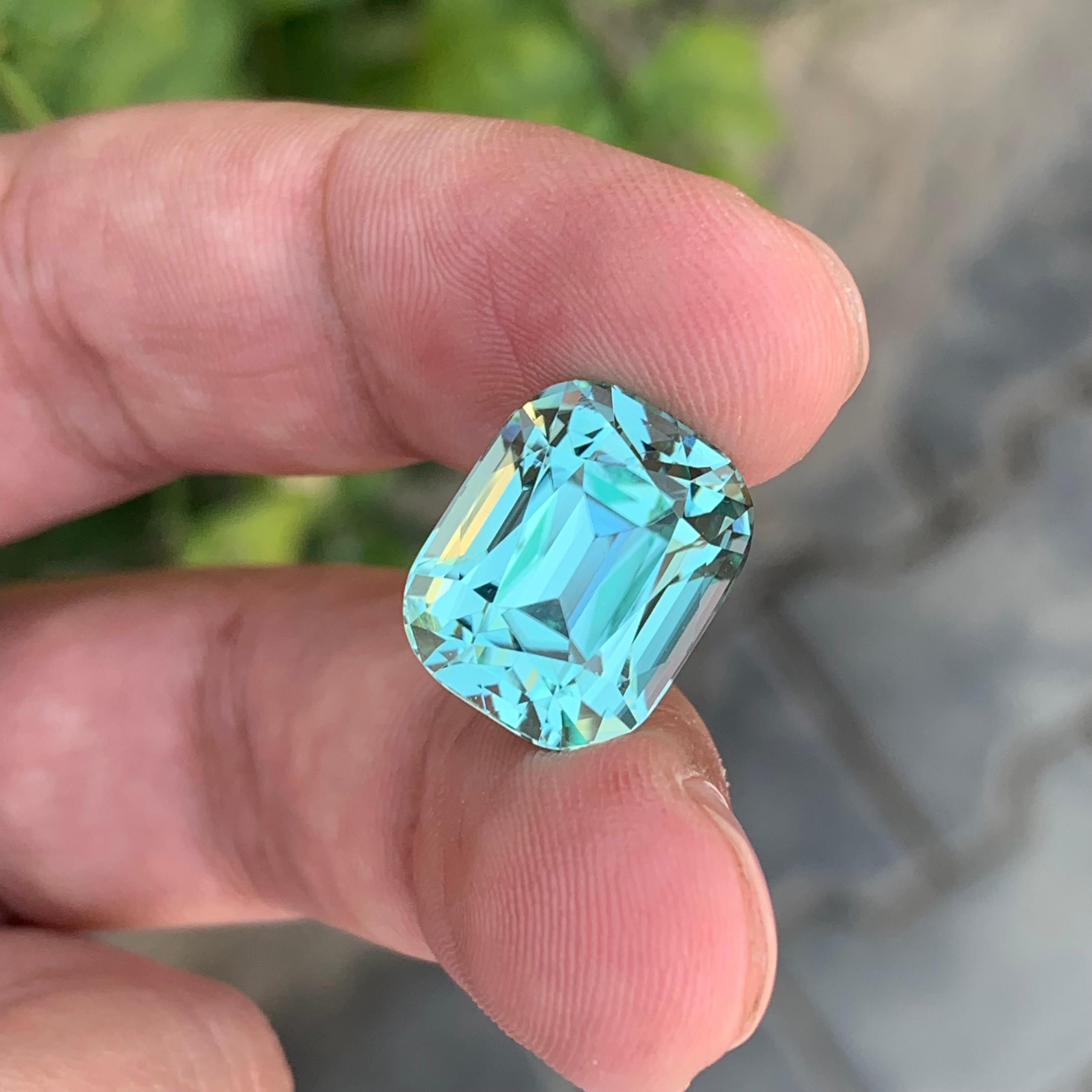 15.50 Carat Natural Loose Seafoam Tourmaline Cushion Shape Gemstone (pierre précieuse en forme de coussin) en vente 2