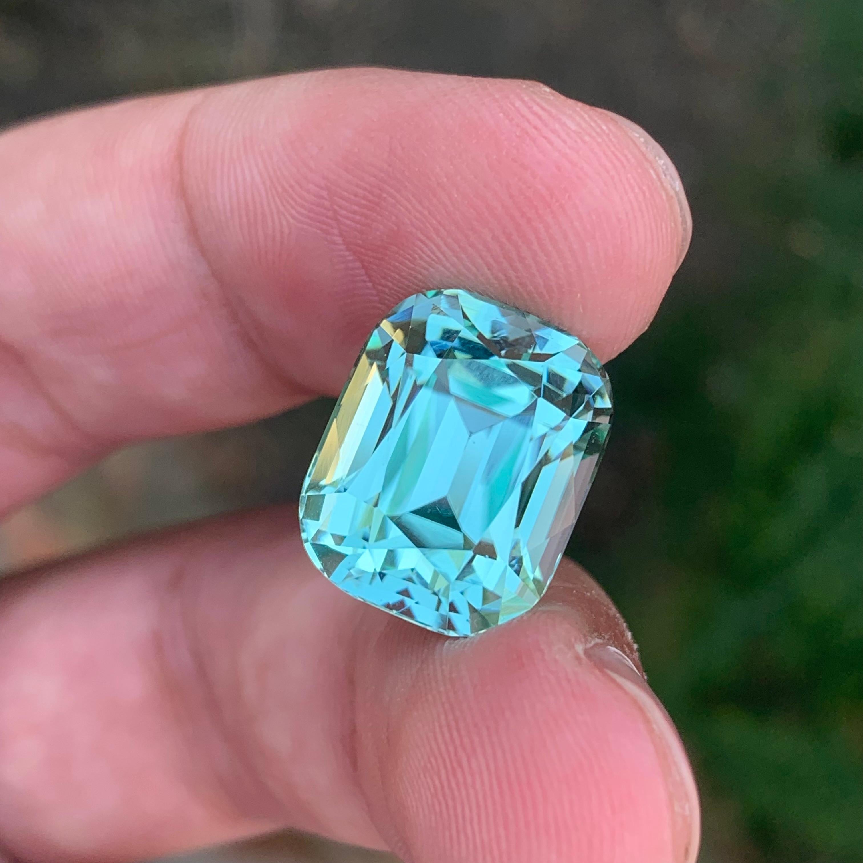 15.50 Carat Natural Loose Seafoam Tourmaline Cushion Shape Gemstone (pierre précieuse en forme de coussin) en vente 3