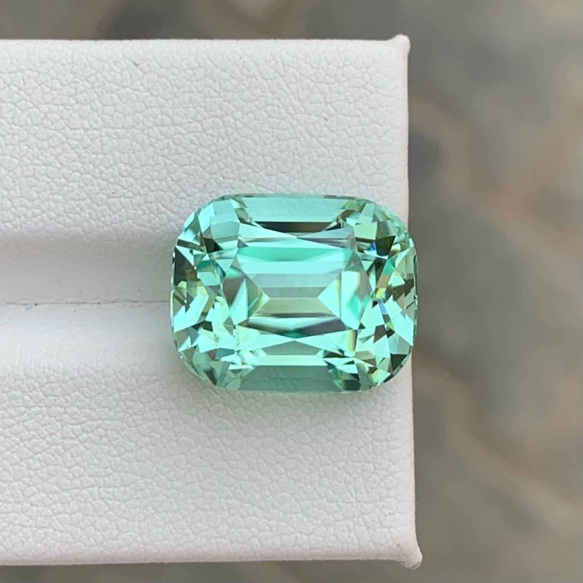 Poids 15,50 carats 
Dimensions 15,5x12,5x10,9mm
Traitement Aucun 
Origine afghane 
Clarity Loup Clean 
Forme Coupe Coussin 





Cette étonnante tourmaline Seafoam naturelle de 15,50 carats est une pierre précieuse rare et captivante qui présente un