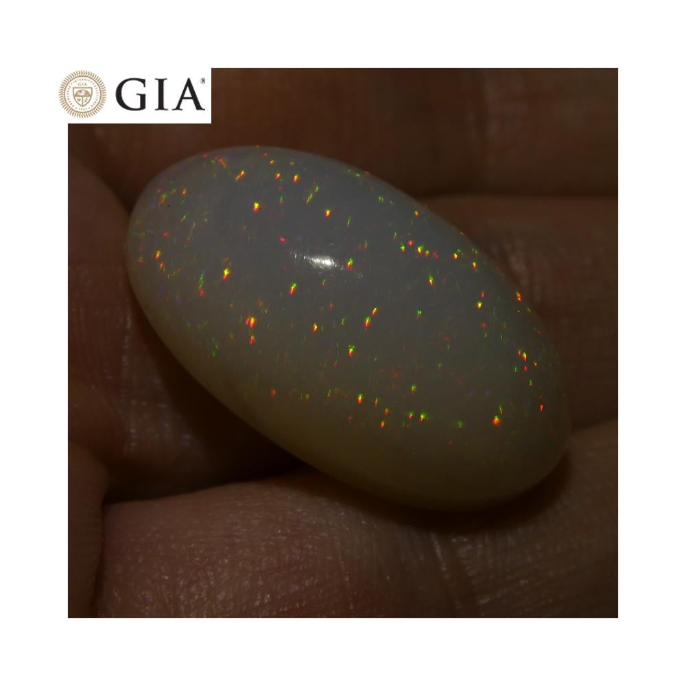 opal worth
