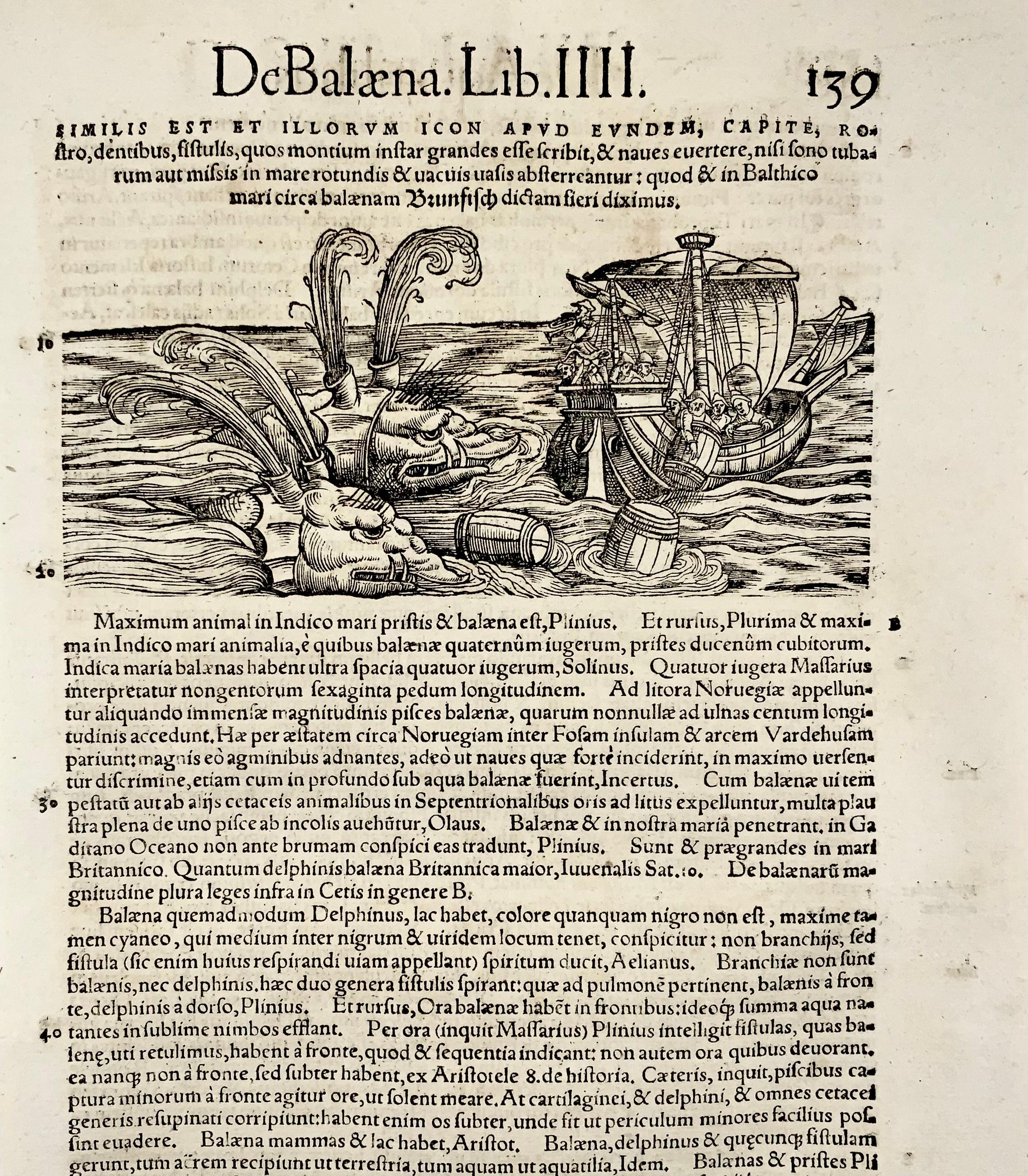 Monstrous whale attacks a sailing ship.

Unidentified woodcut artist for Konrad Gesner (aka Conrad Gesner; Philiatrus Euonymus) (1516–1565)

Fine folio woodcut leaf.

Measures: 38 x 21.7 cm

Issued in: Historiae animalium libri IIII qui est