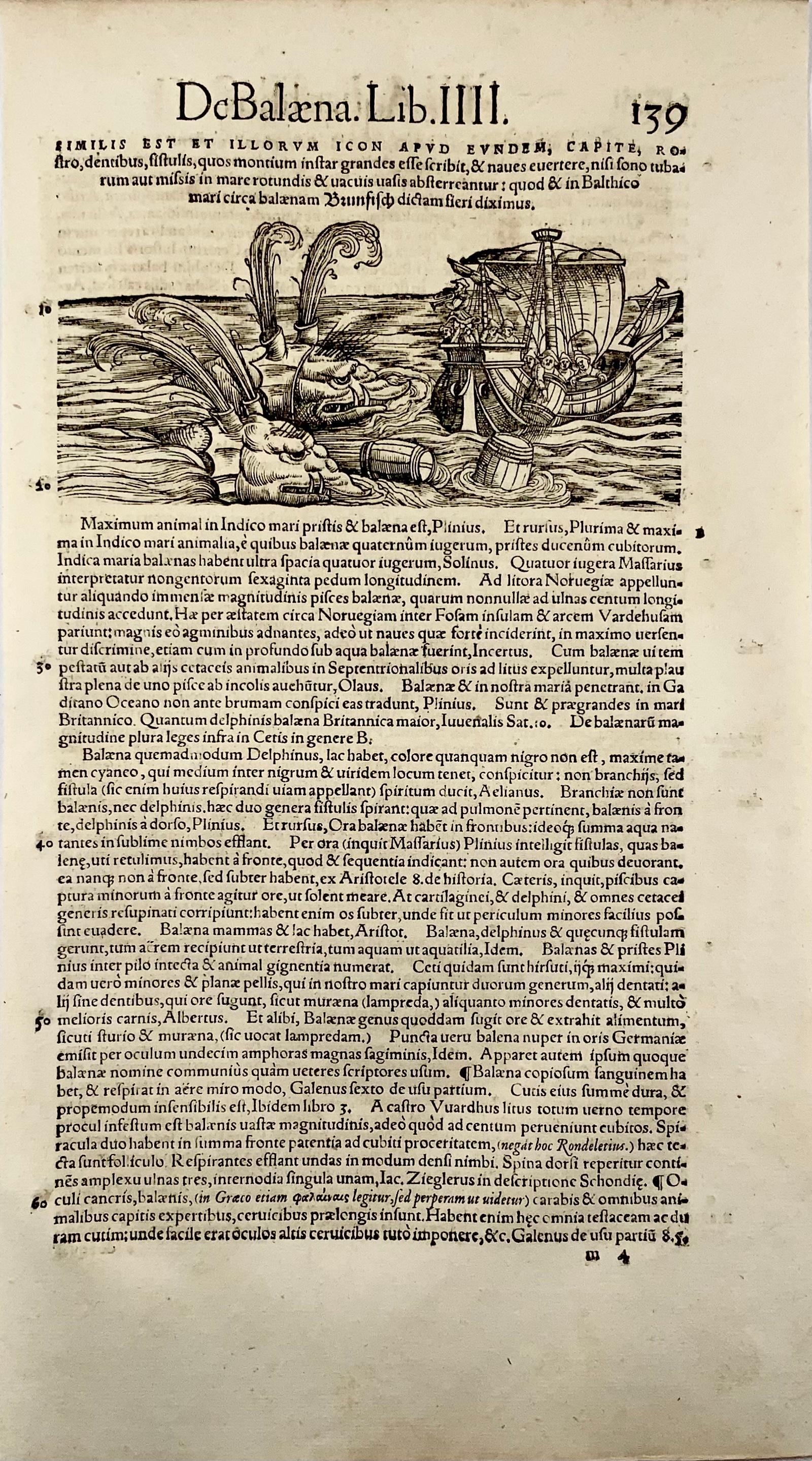 1558 Conrad Gesner, Monstrous Wal attackiert ein Segelschiff, Holzschnitt-Blatt (Renaissance) im Angebot
