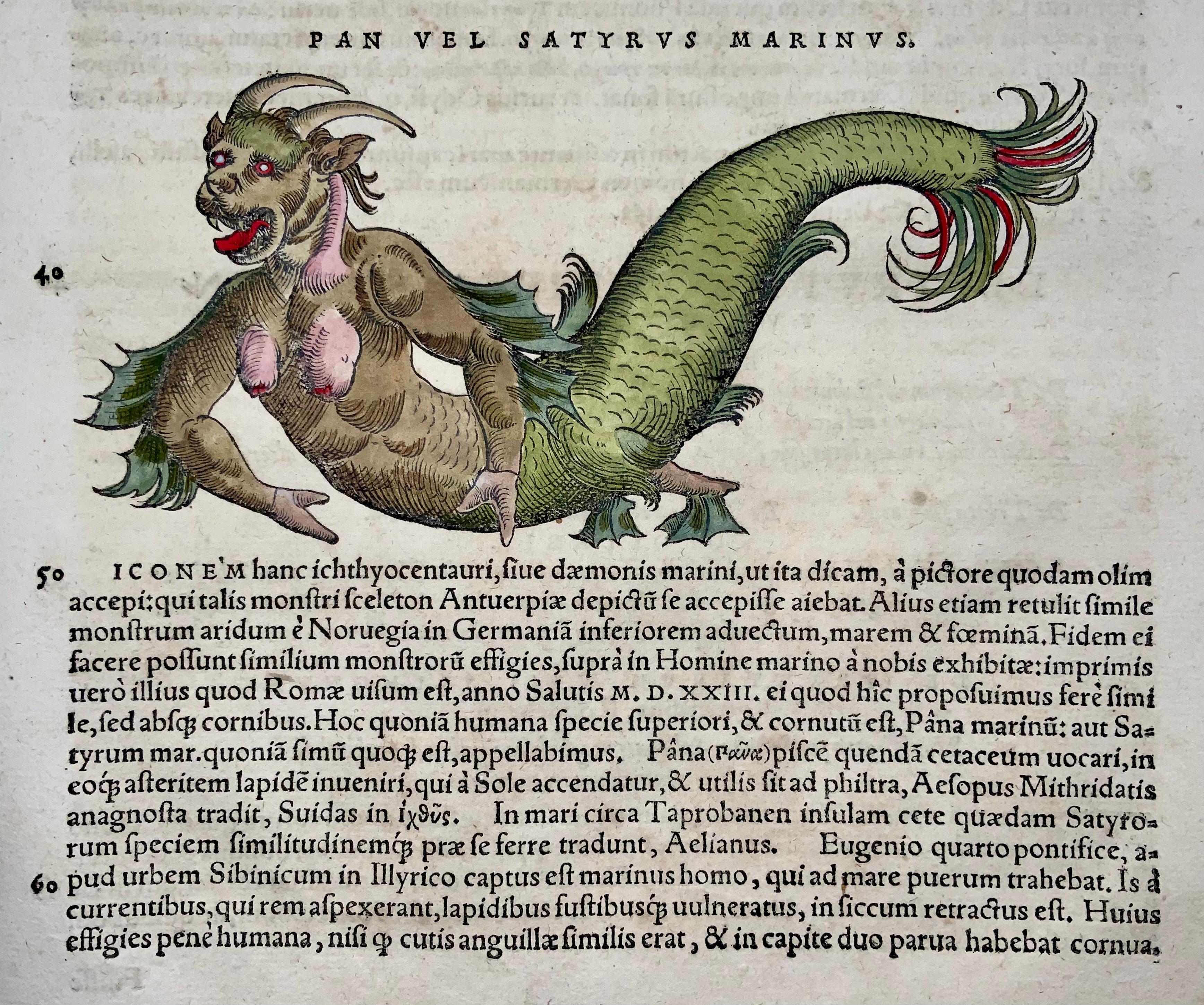 Pan vel satyrus marinus

In Gesner's chapter on Tritons, this fascinting creature labeled 