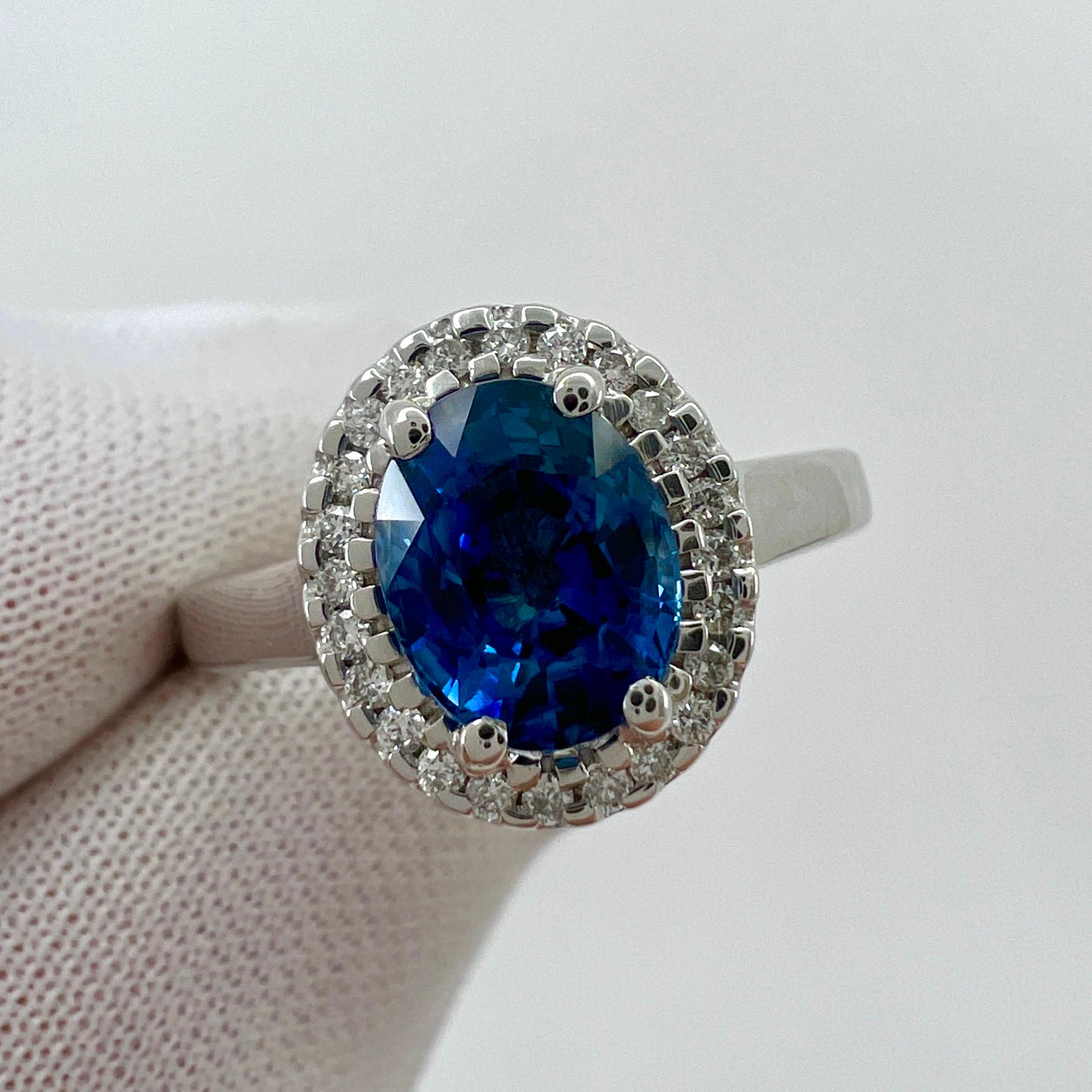 1.56 Carat Fine Vivid Blue Ceylon Sapphire And Diamond 18k White Gold Halo Ring In New Condition For Sale In Birmingham, GB