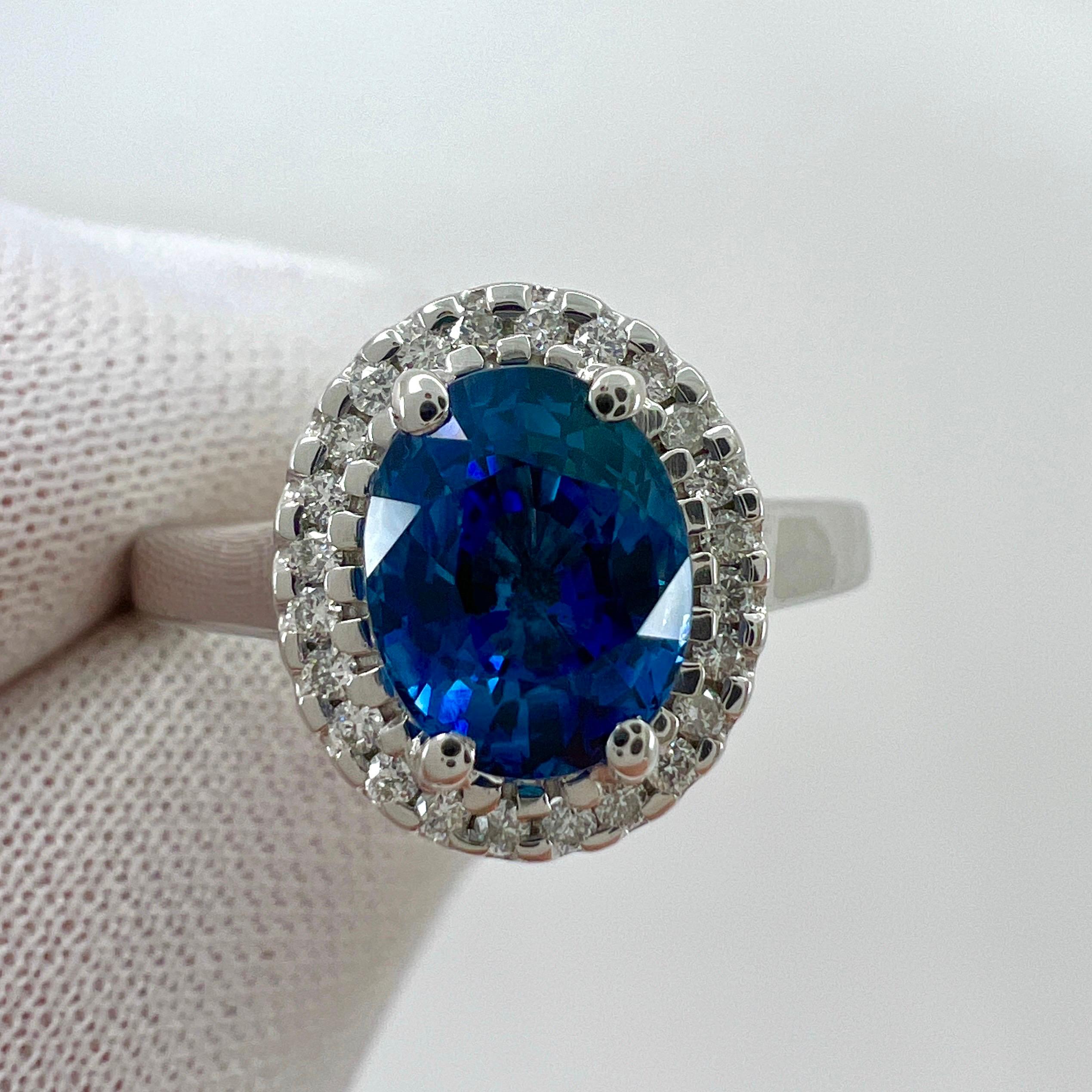 1.56 Carat Fine Vivid Blue Ceylon Sapphire And Diamond 18k White Gold Halo Ring (Bague Halo en or blanc 18k) en vente 1