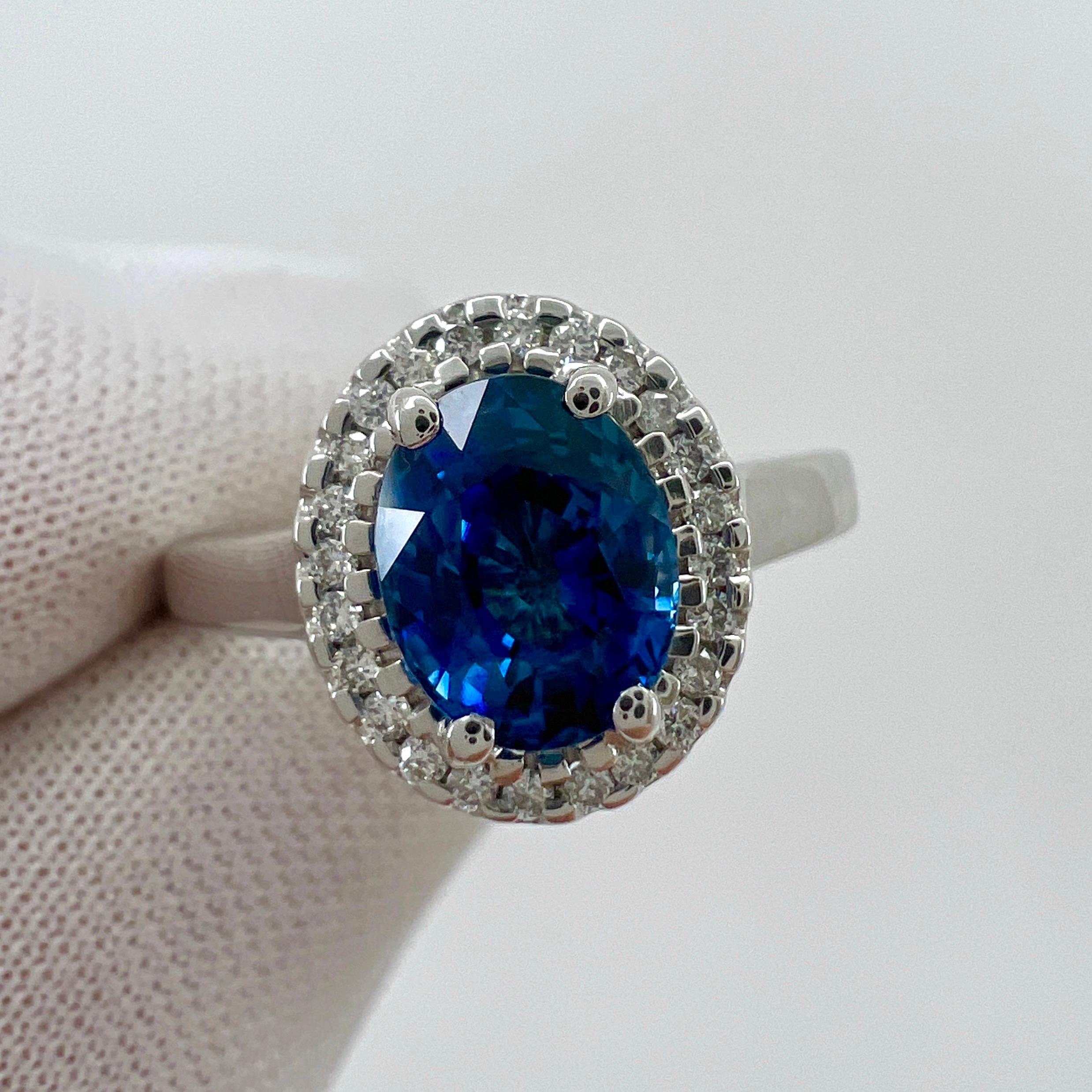 1.56 Carat Fine Vivid Blue Ceylon Sapphire And Diamond 18k White Gold Halo Ring For Sale 4