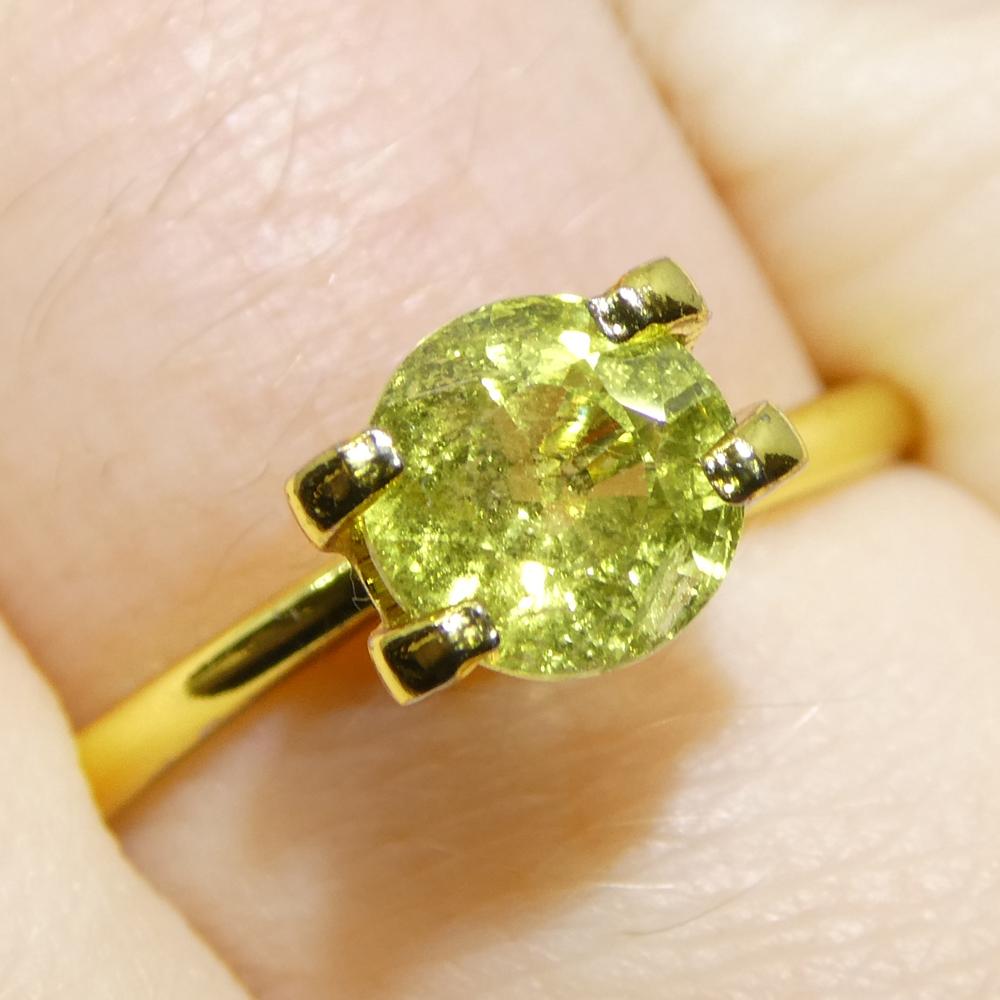 1.56ct Saphir jaune rond de Tanzanie, non chauffé en vente 6
