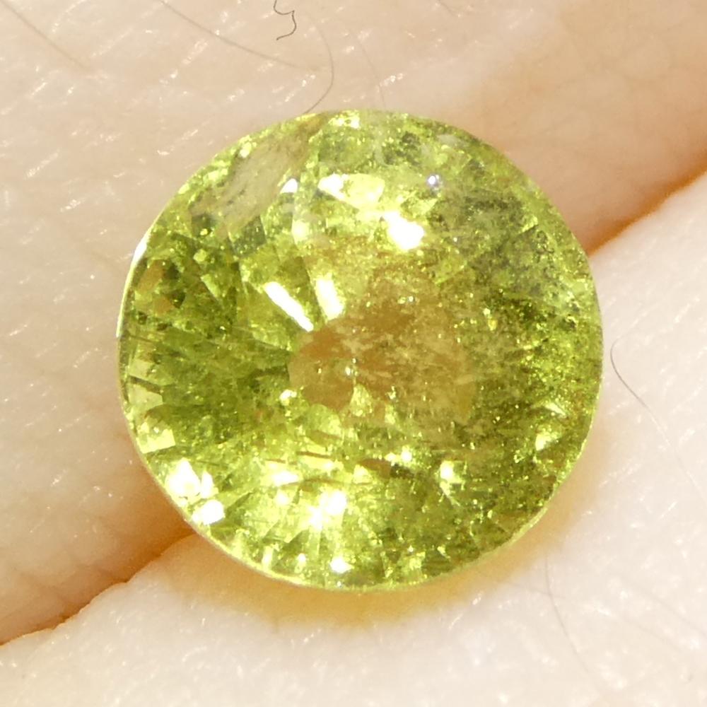 1.56ct Saphir jaune rond de Tanzanie, non chauffé en vente 4