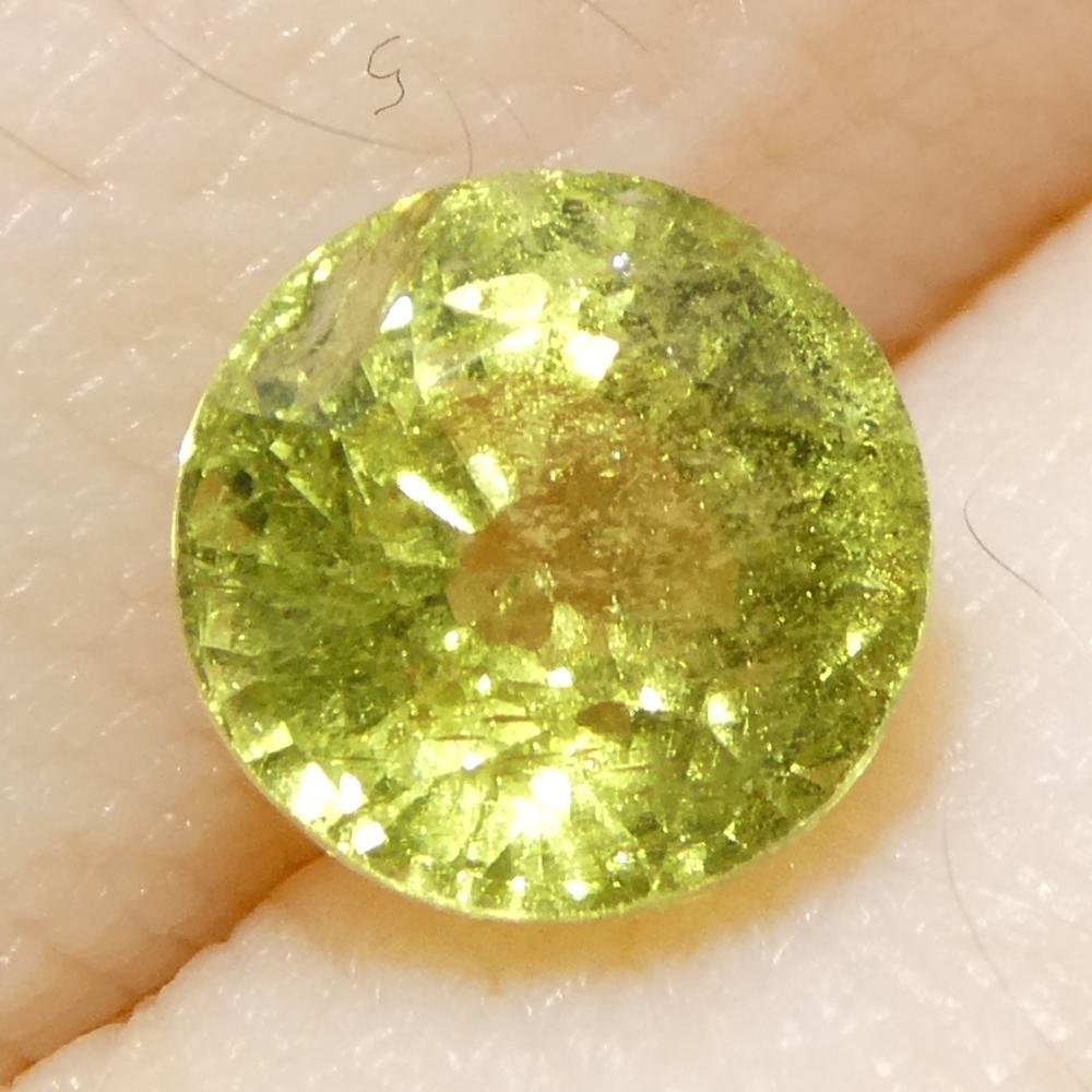 1.56ct Saphir jaune rond de Tanzanie, non chauffé en vente 5
