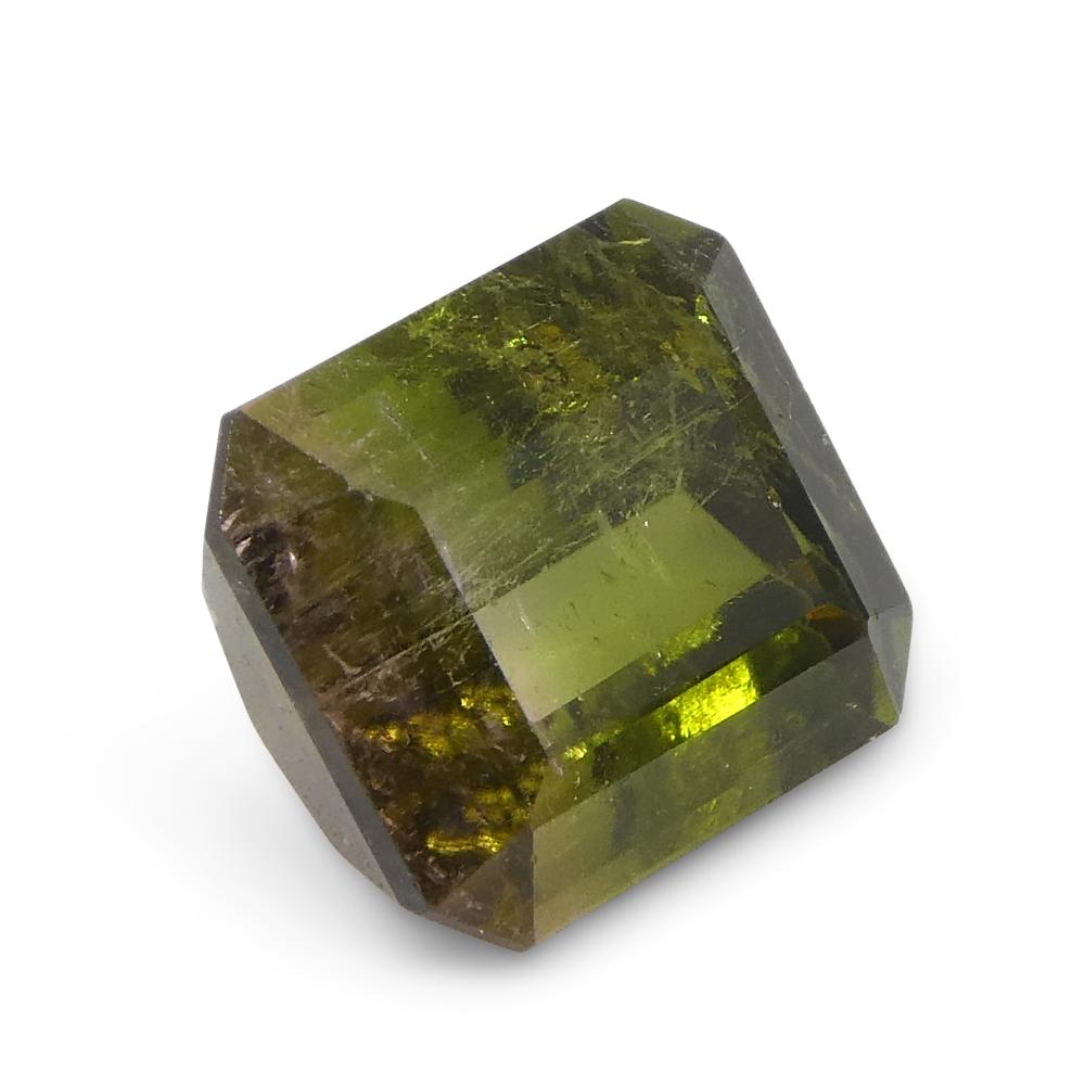 Tourmaline vert et rose bicolore taille émeraude 1.57 carat en vente 5
