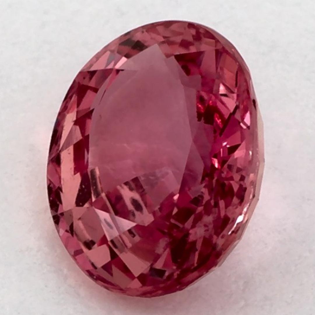 Dieser natürliche rosa Saphir bietet Eleganz und Raffinesse. Mit seiner satten Farbsättigung und seinem präzisen Schliff ist er das perfekte Herzstück für einen Verlobungsring oder ein luxuriöses Schmuckdesign.

Dieser Saphir stammt aus Sri Lanka
