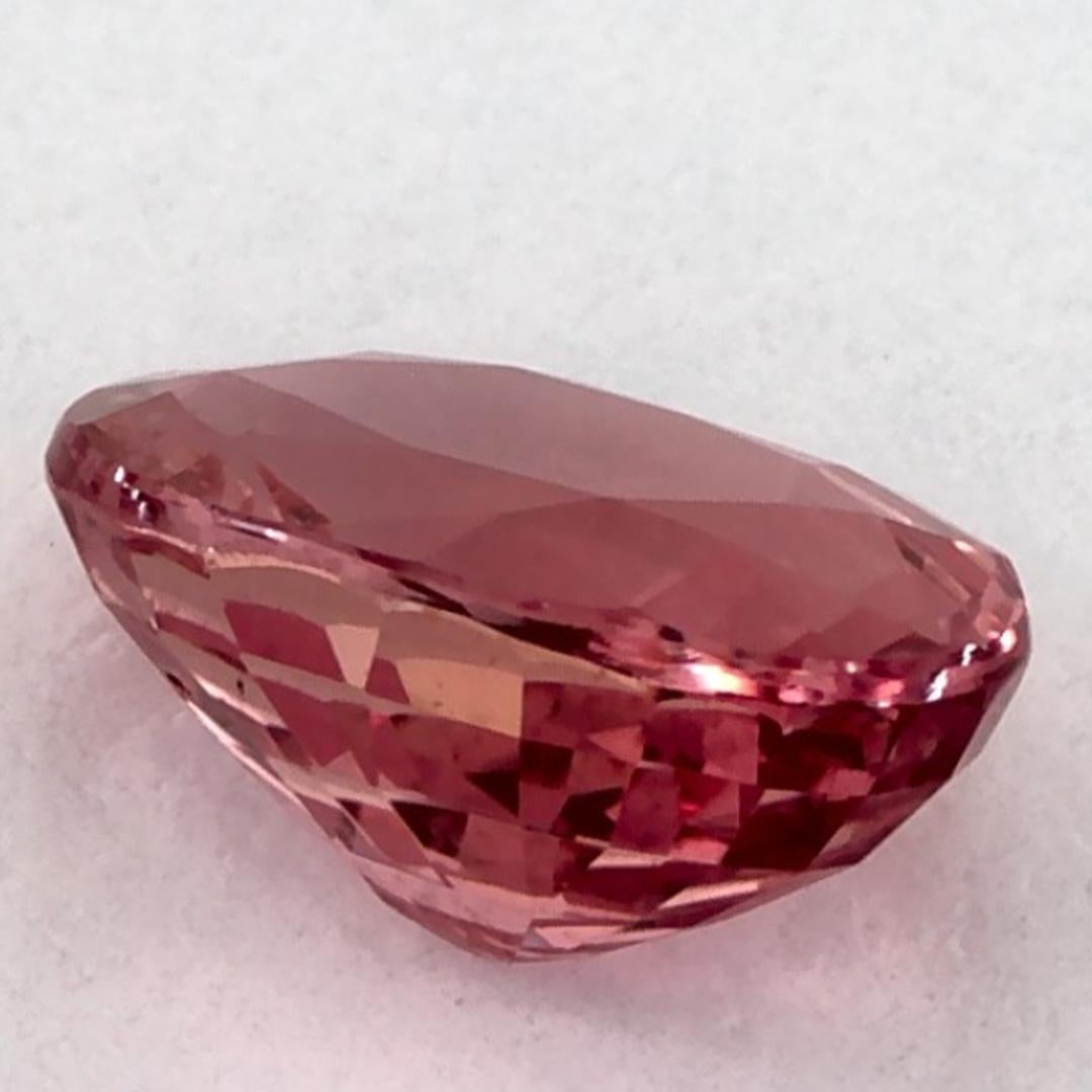 1.58 Karat Rosa Saphir Oval Loser Edelstein im Zustand „Neu“ im Angebot in Fort Lee, NJ