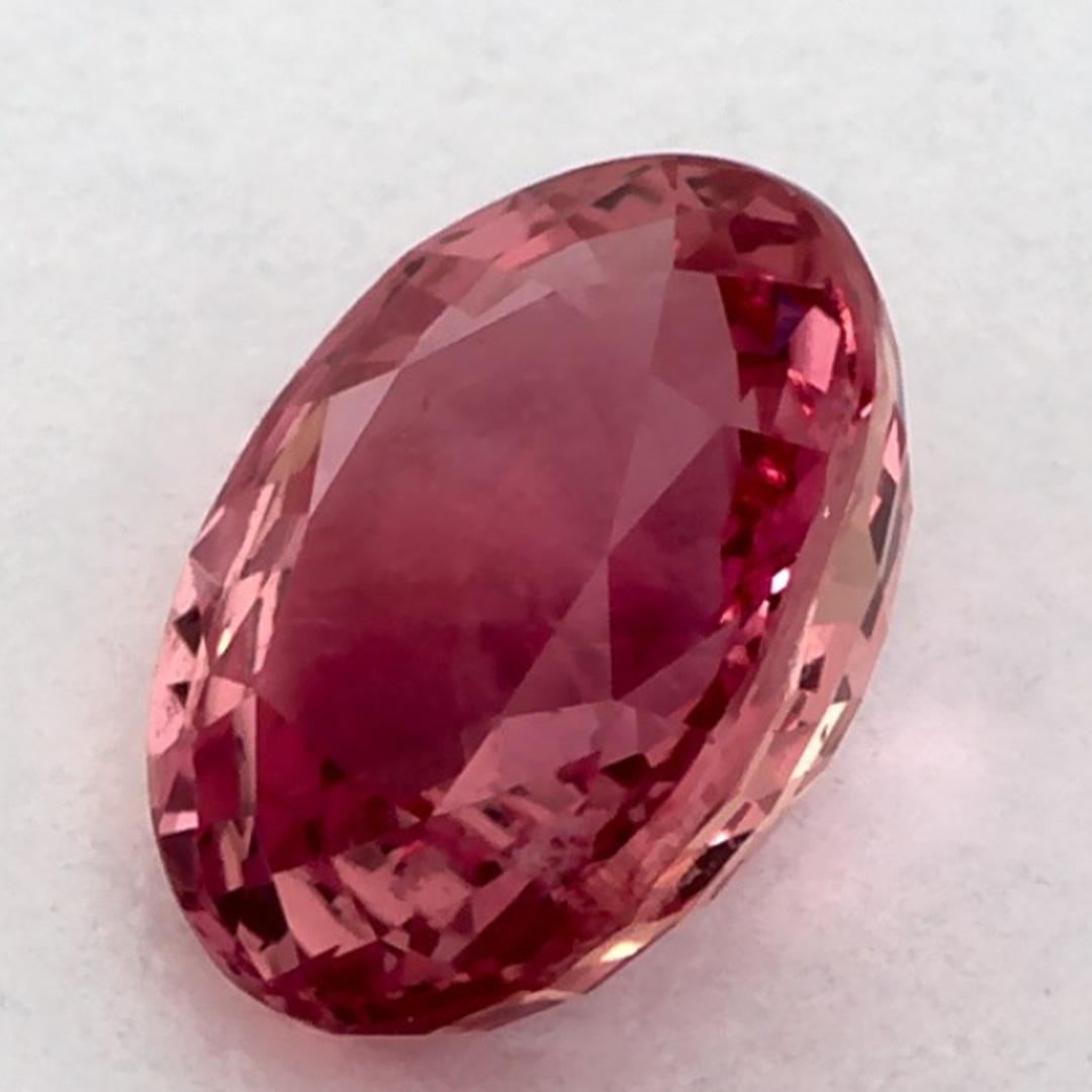 1.58 Karat Rosa Saphir Oval Loser Edelstein Damen im Angebot
