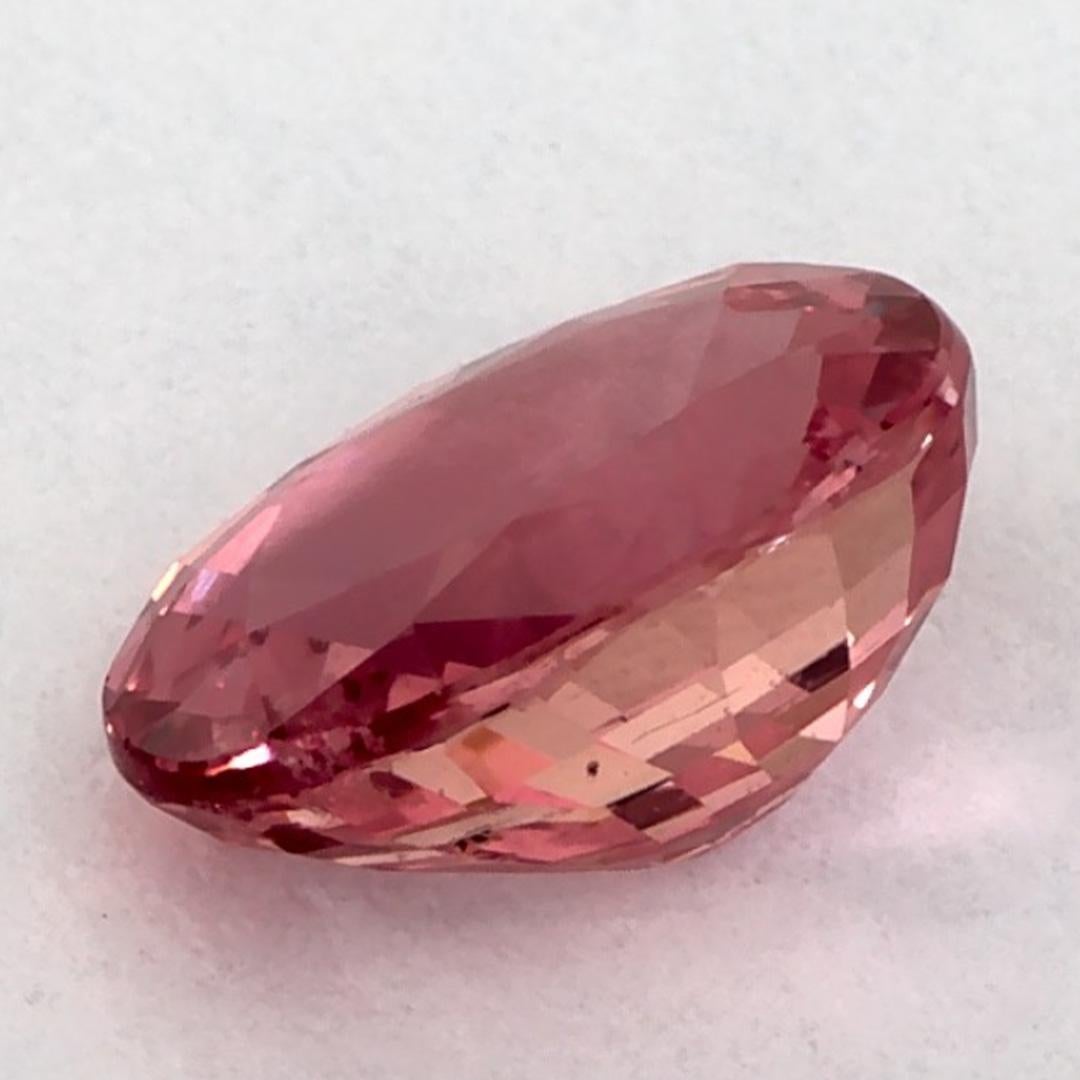 1.58 Karat Rosa Saphir Oval Loser Edelstein im Angebot 2