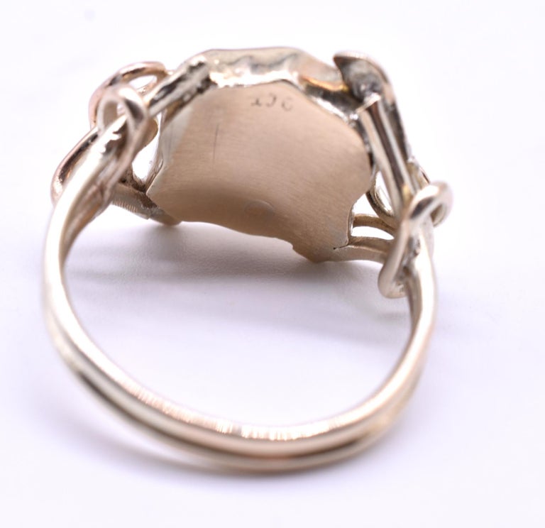 15 Karat Agate Ring with Snake Surround at 1stDibs