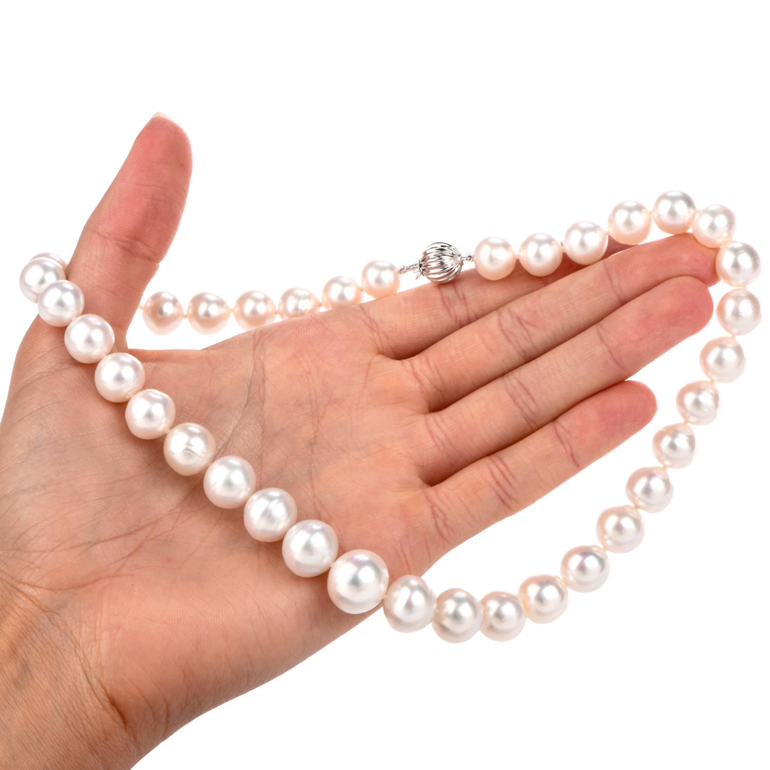 South Sea Lustrous Pearl Strand Necklace 2