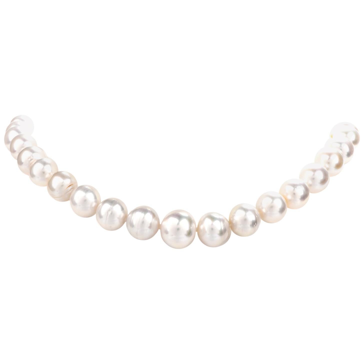 South Sea Lustrous Pearl Strand Necklace