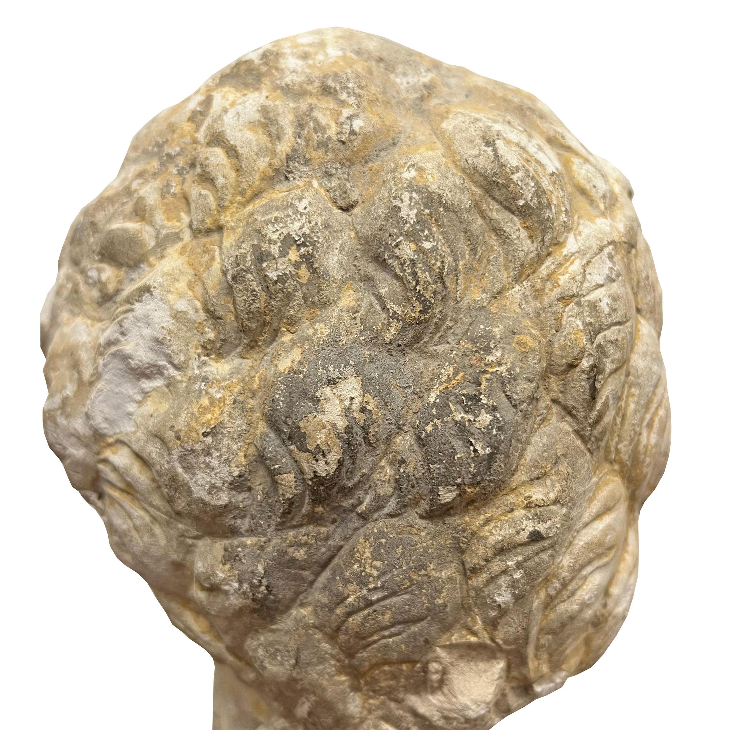 XVIIIe siècle et antérieur Fragment de tête en pierre calcaire sculptée française du 15e siècle en vente
