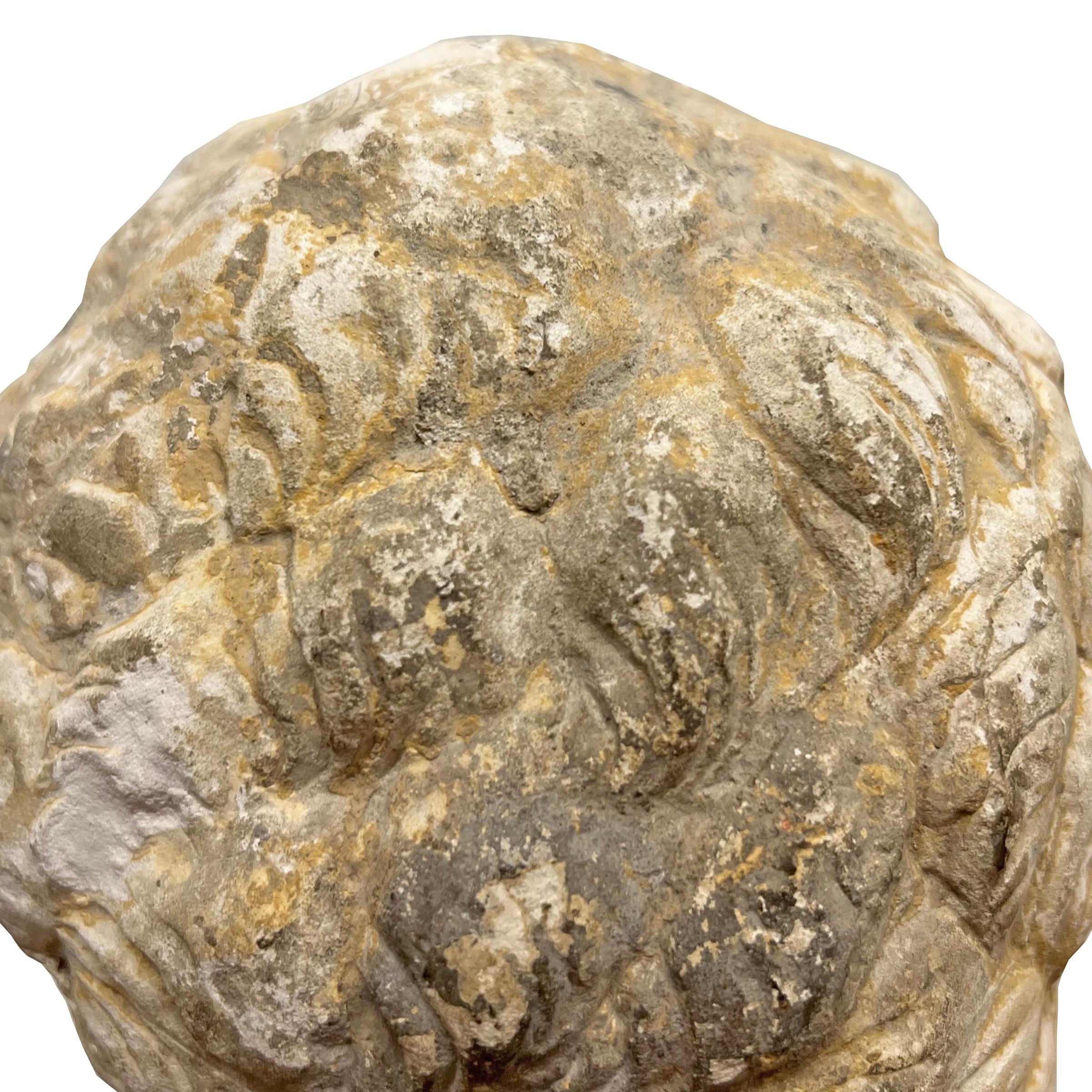 Marbre Fragment de tête en pierre calcaire sculptée française du 15e siècle en vente