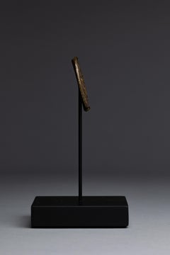 15th Century Italian Renaissance Bronze Medallion