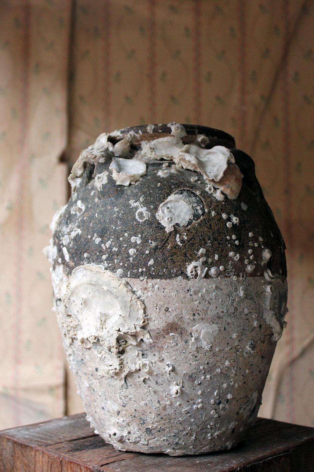 15th Century Salvaged Shipwreck Sawankhalok Jar, Royal Nanhai, circa 1460 12