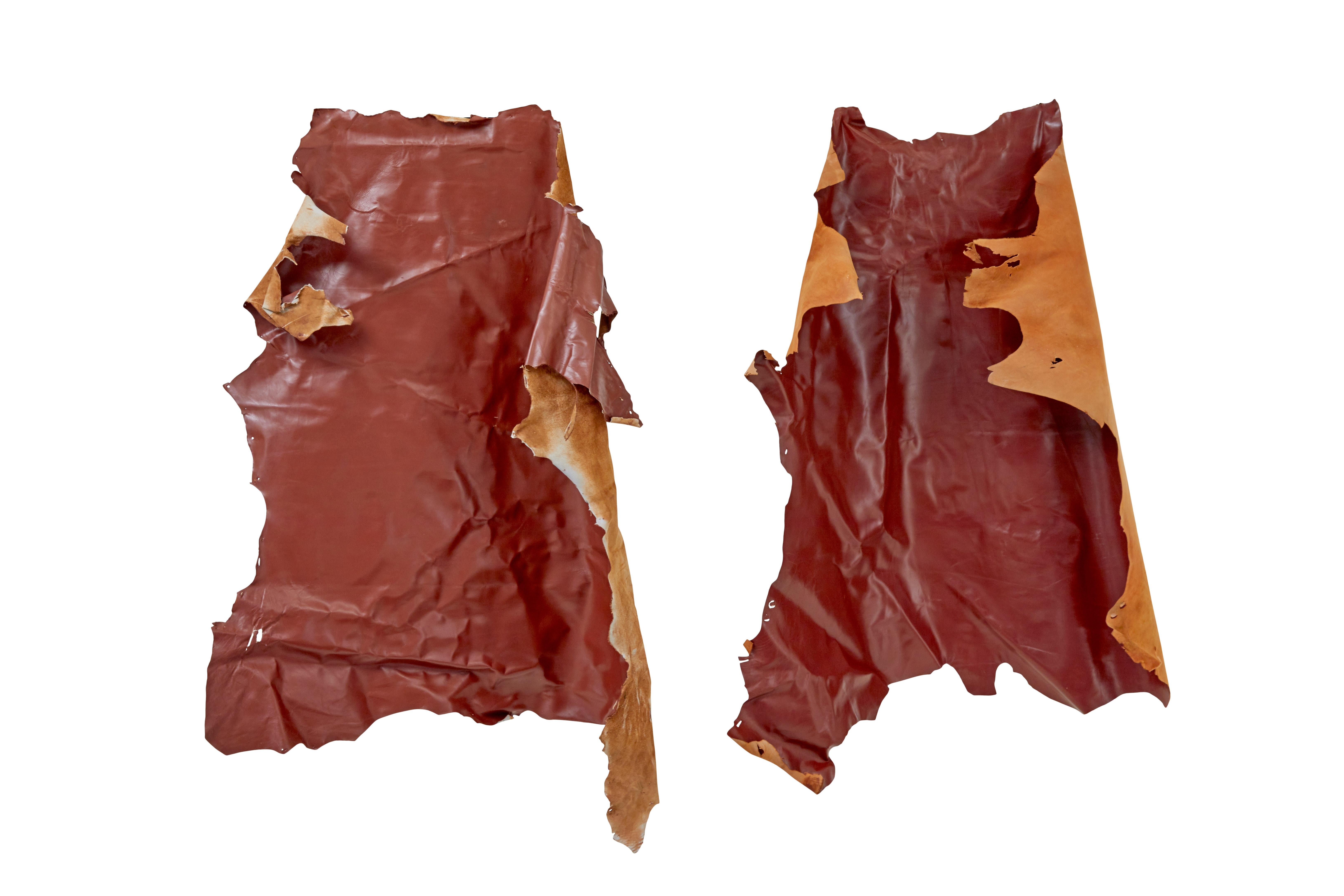 Svedese 16 pelli bovine per tappezzeria o decorazione in vendita