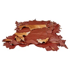 Used 16 cowhide’s for upholstery or decoration