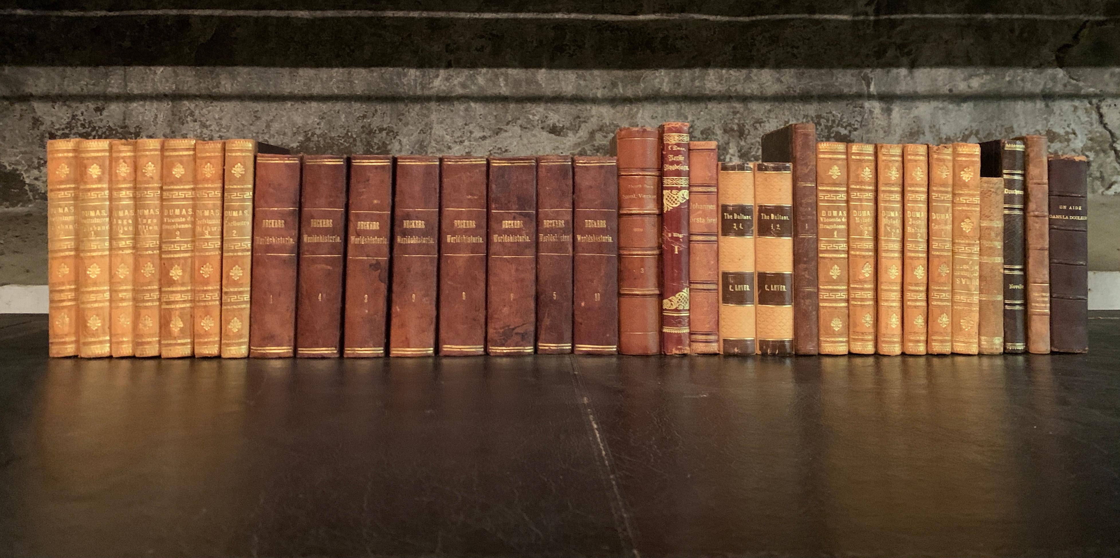 Swedish 16 Feet Collection of European 19th Century Leather-Bound Books For Sale
