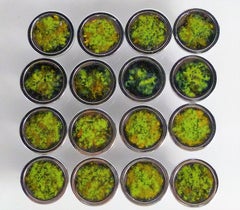 16 Mod Drawer Pulls / Knobs Copper Enamel and Chrome, 1960s