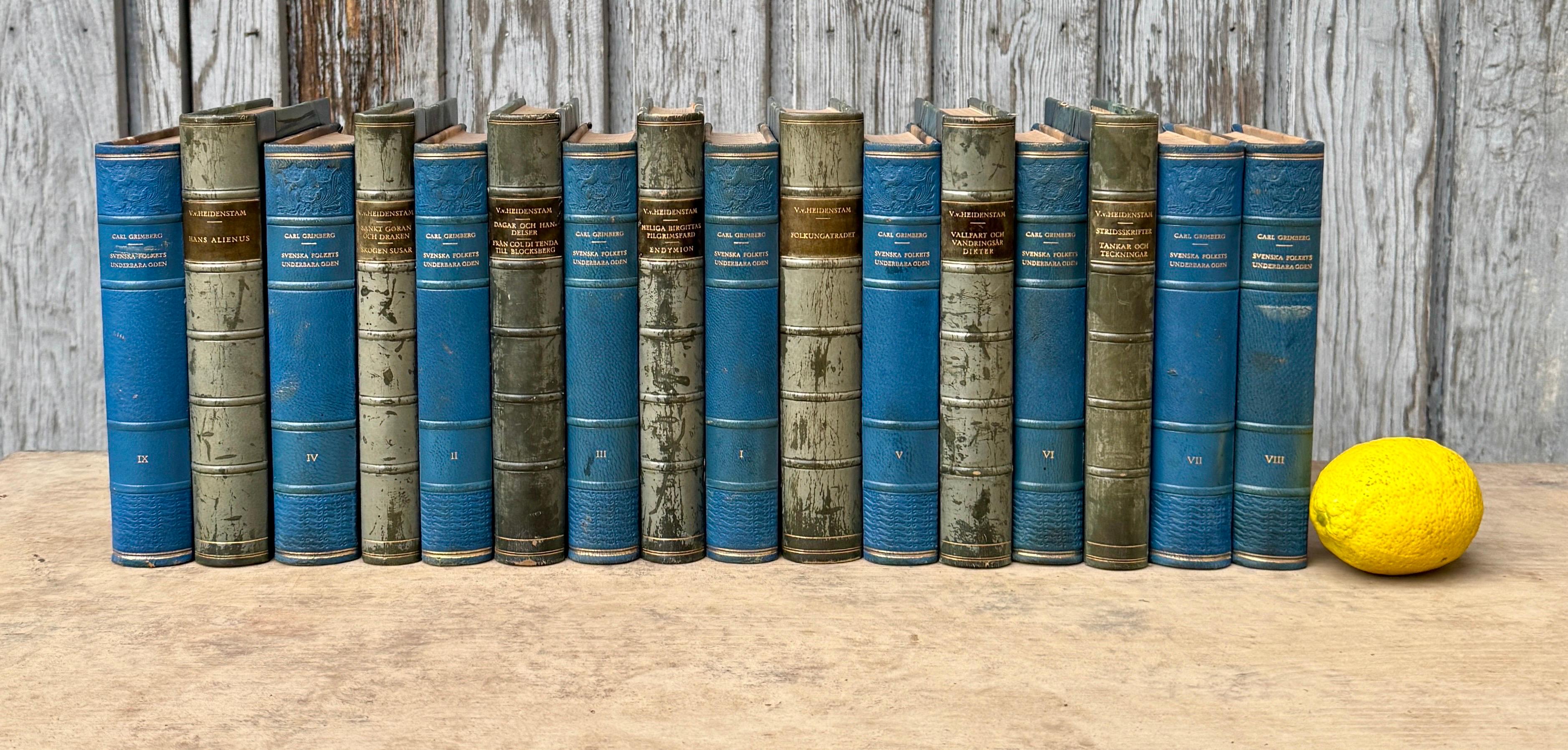 16 libri svedesi del XX secolo rilegati in pelle di colore blu in vendita 3