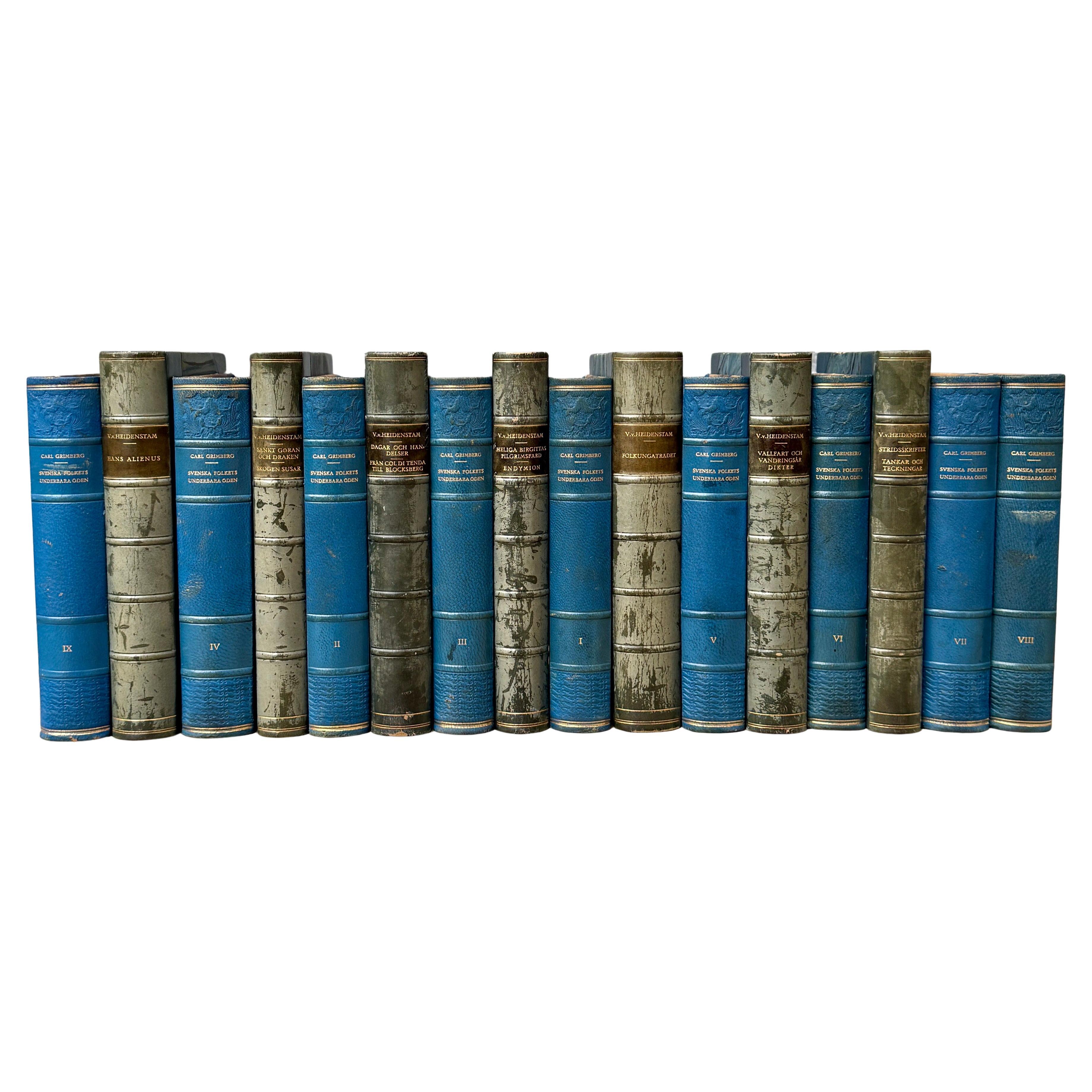 Un raro set di 16 libri di biblioteca svedesi decorati e rilegati in pelle antica in tonalità blu. La disponibilità di libri rilegati in pelle 